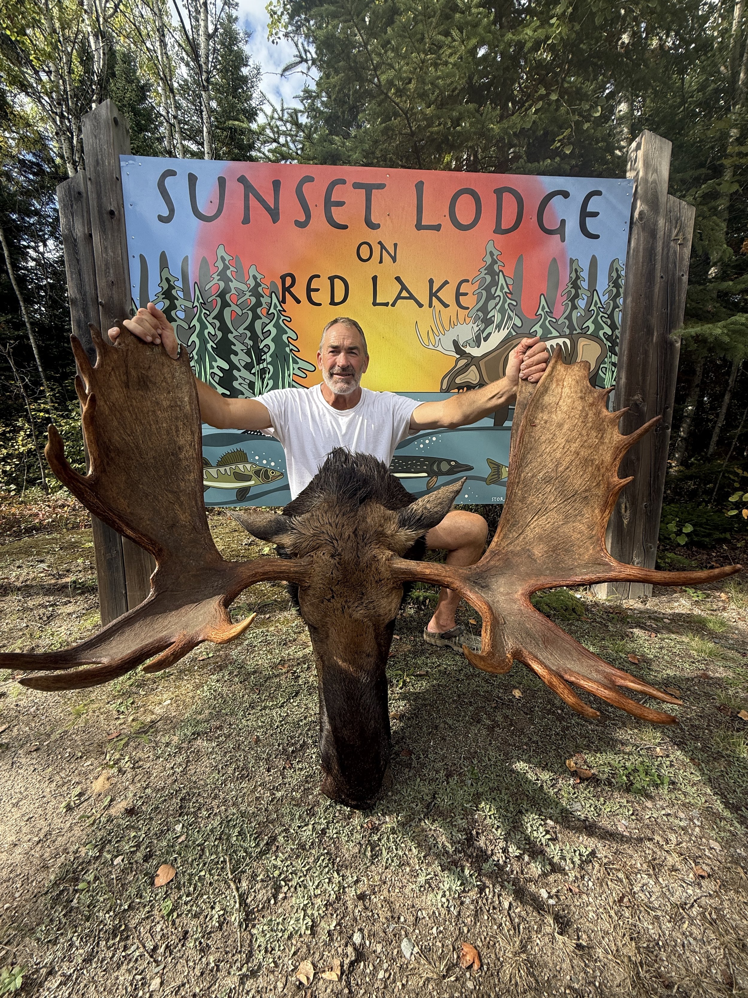 Steve 2025 Archery Bull