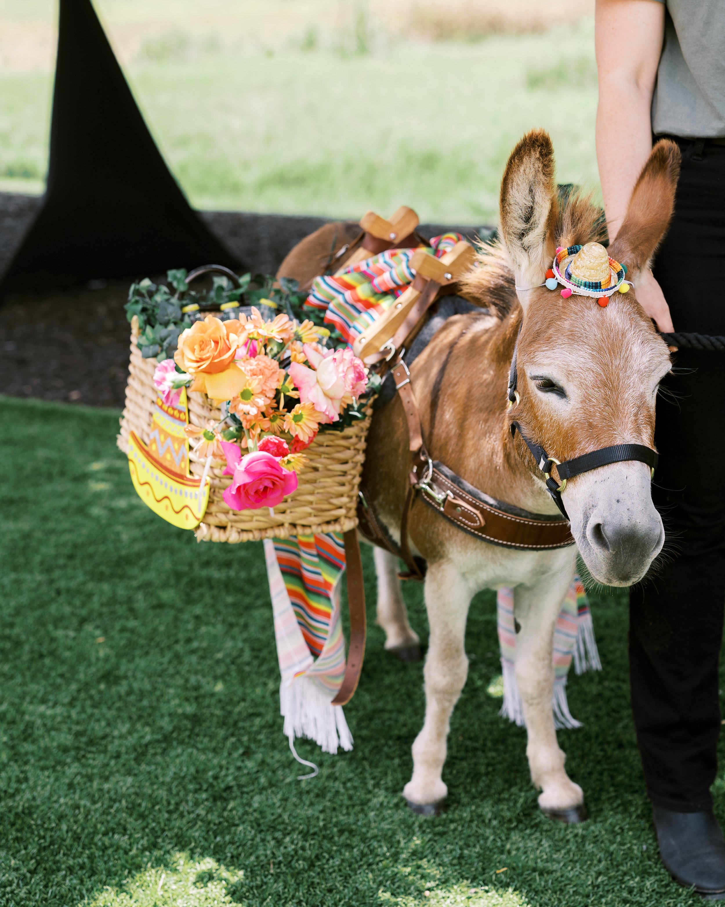 IMG_1296 11.40.05 AM.JPG