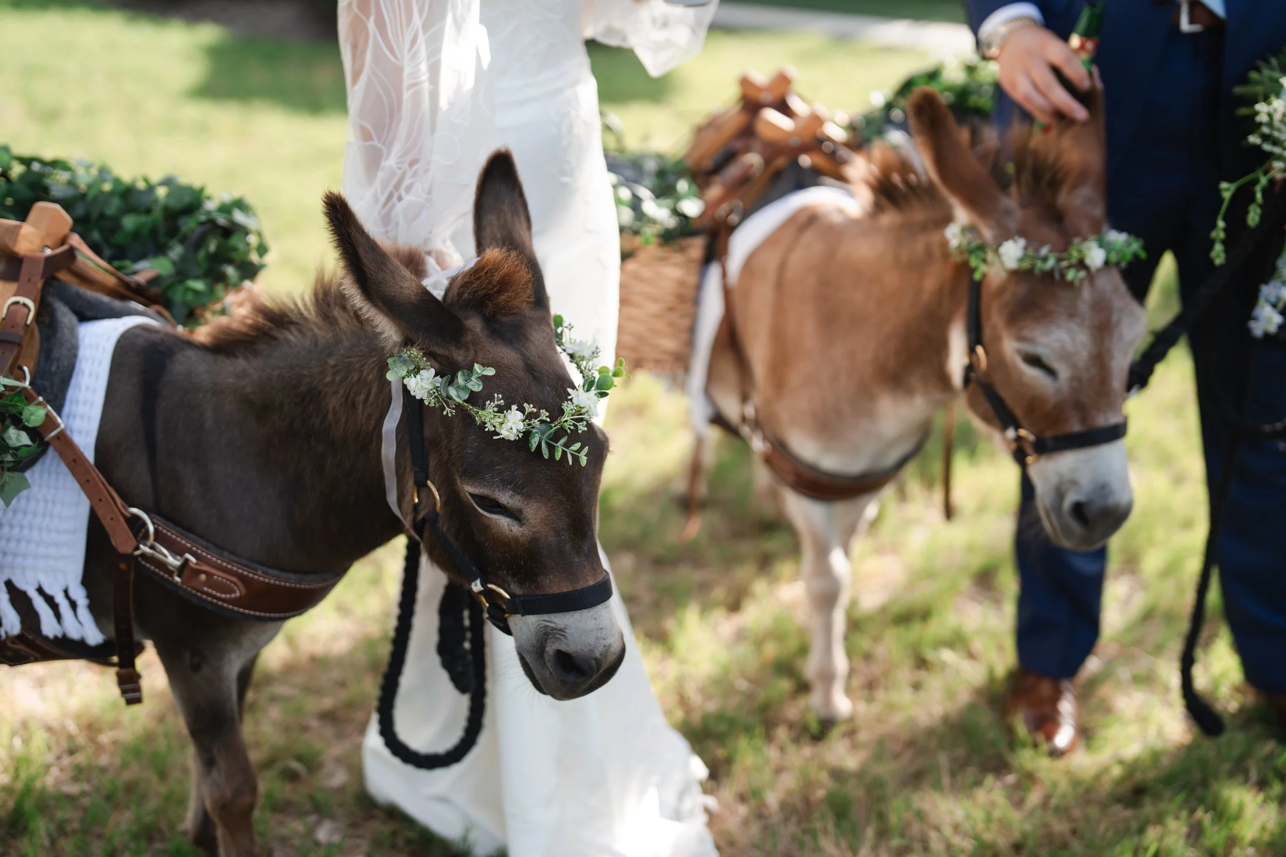 K+A-wedding-459.jpg