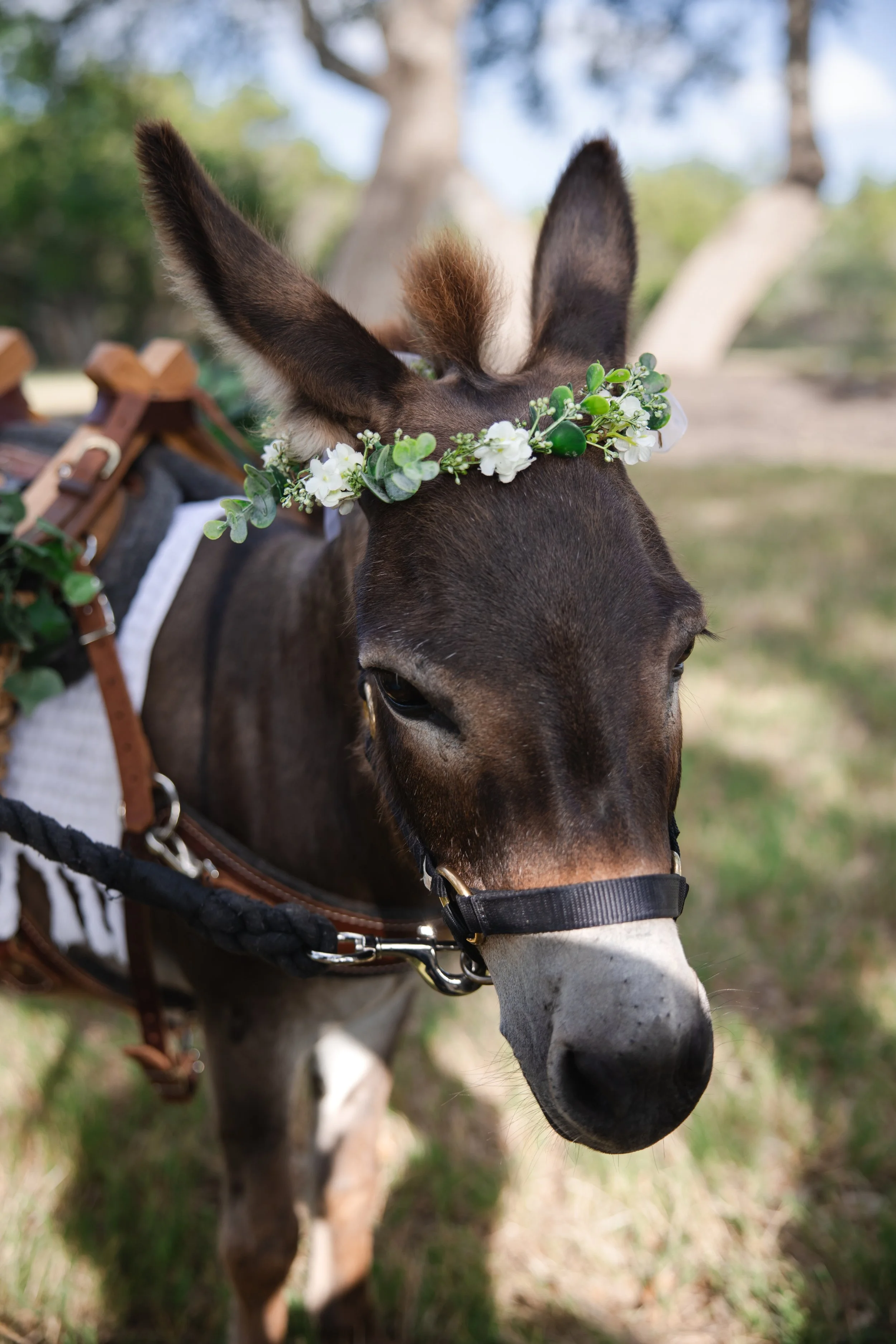 K+A-wedding-452.jpg