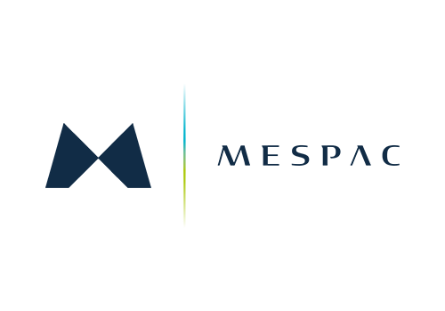 MESPAC provides an intelligence platform delivering accurate, continuous, and spatially refined wind, wave, and metocean data. Powered by satellites and AI, this information can be used for project development, financing, and operation.