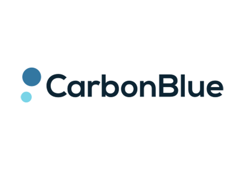CarbonBlue develops a chemical process that mineralizes and extracts CO₂ from water, which then reabsorbs more atmospheric CO₂.