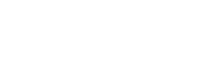 Bad Wolf Studio
