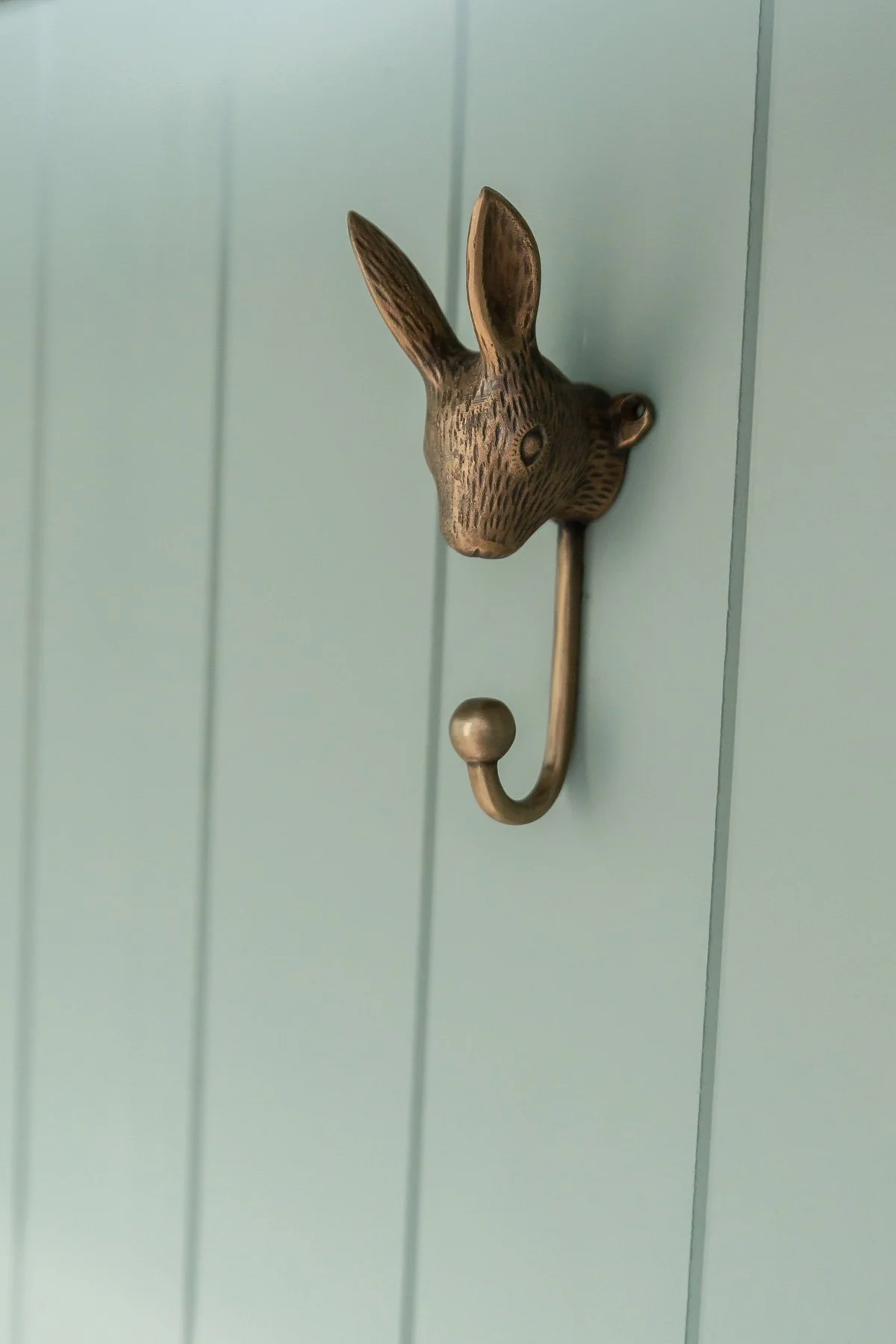 Brass Hooks