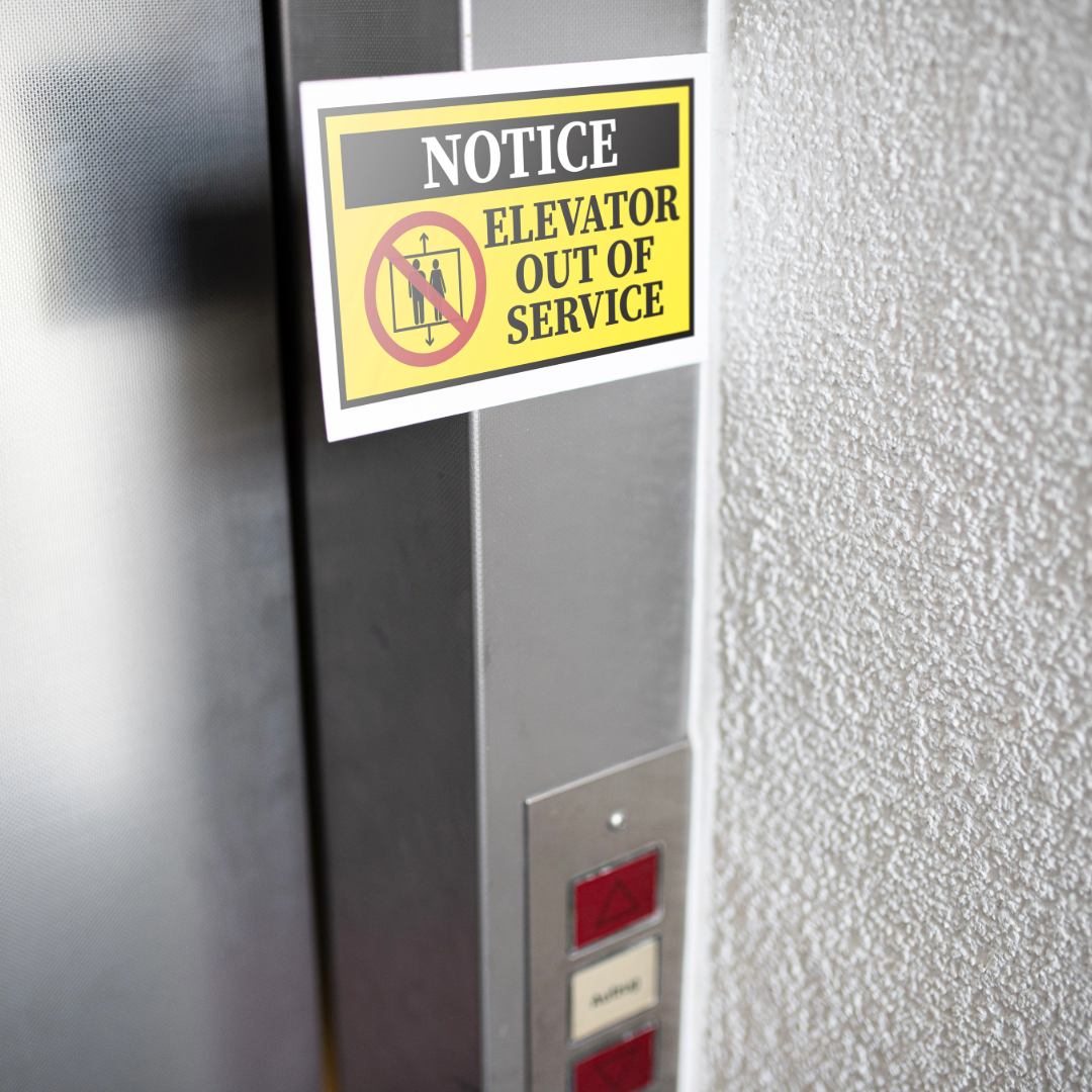 What a Broken Elevator Taught Me About Dog Training (and the Power of Habits)