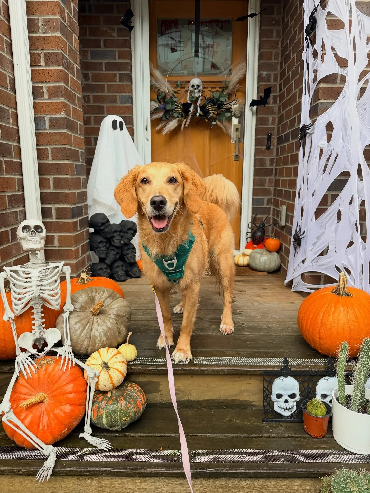 It’s getting Halloween-y out there 🎃👻