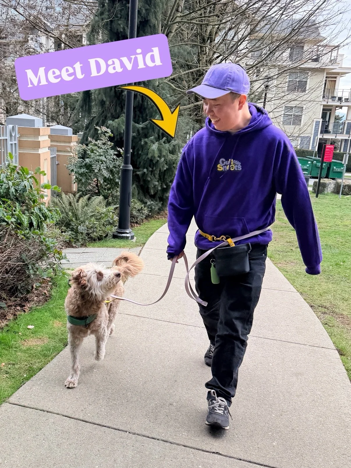 You guyssss 💜💛 our team has officially grown here in New West!!!

After months and months of searching for the right human to join Curious Snoots and help me bring more fun, support, and joy to more doggies, I&rsquo;m so happy to officially introdu