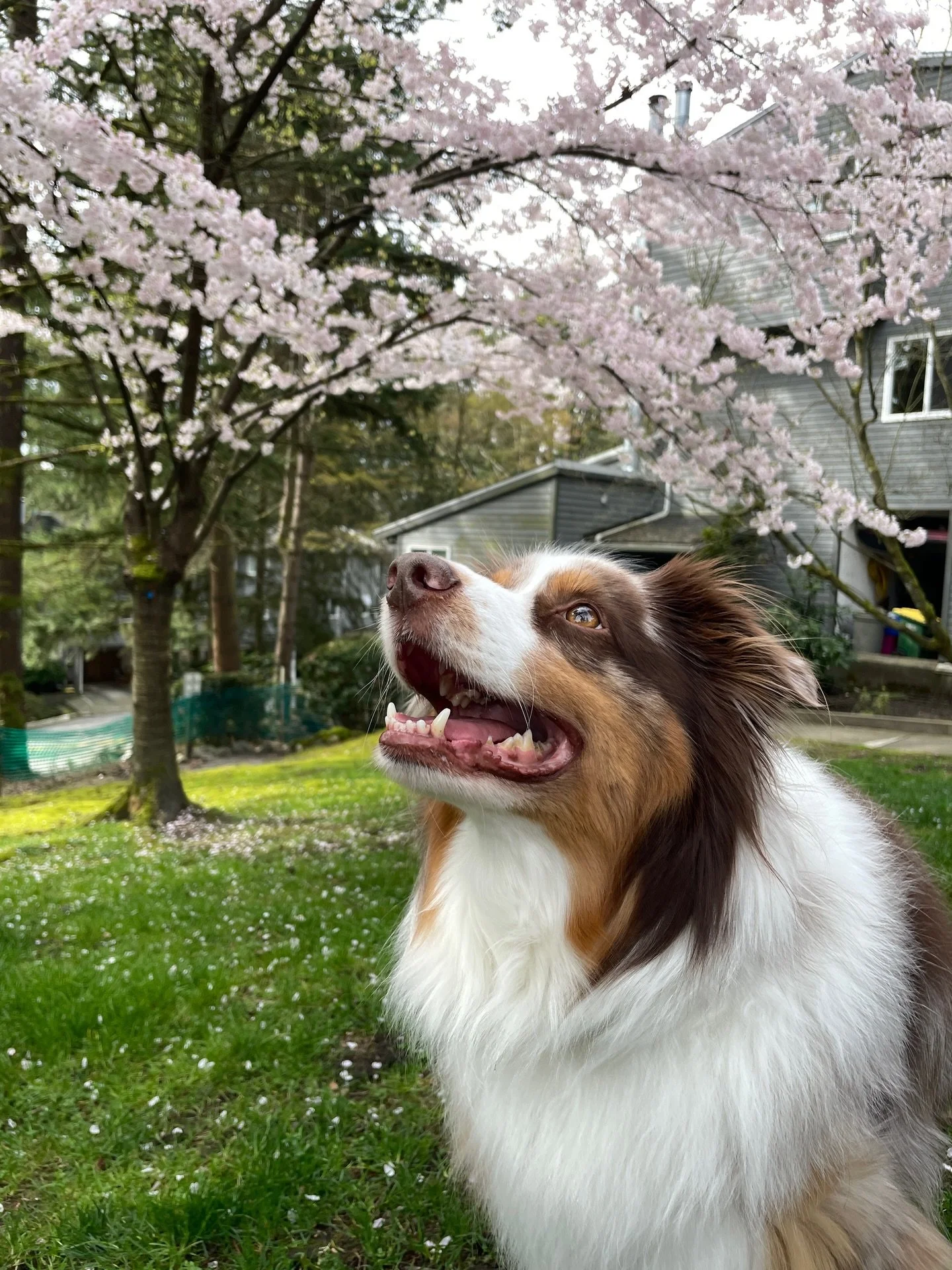 Spring is springing and we&rsquo;re here for it! 🌸🤩