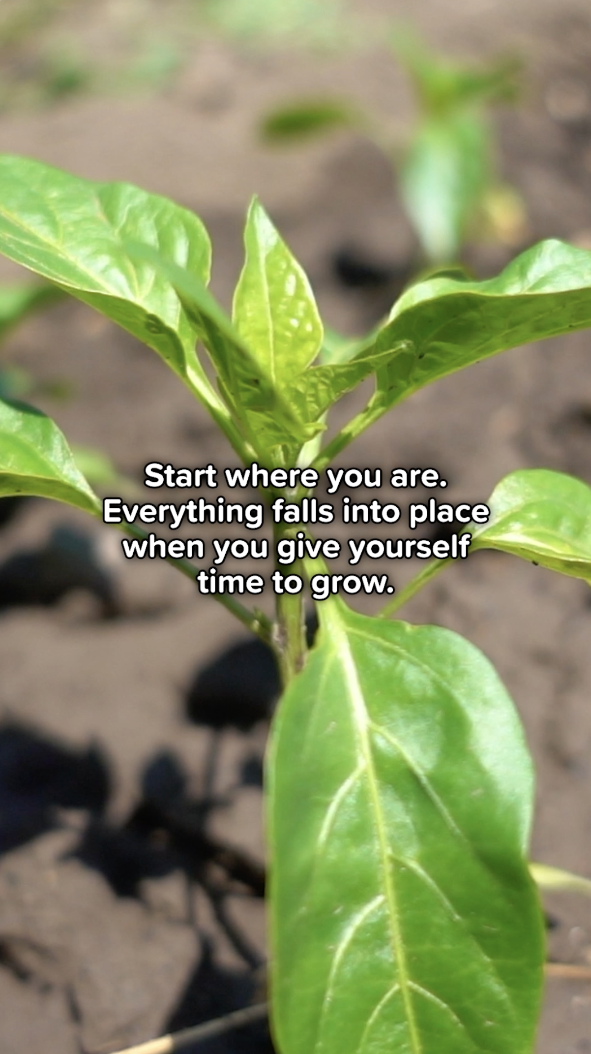 It’s Okay If You Don’t Have It All Figured Out