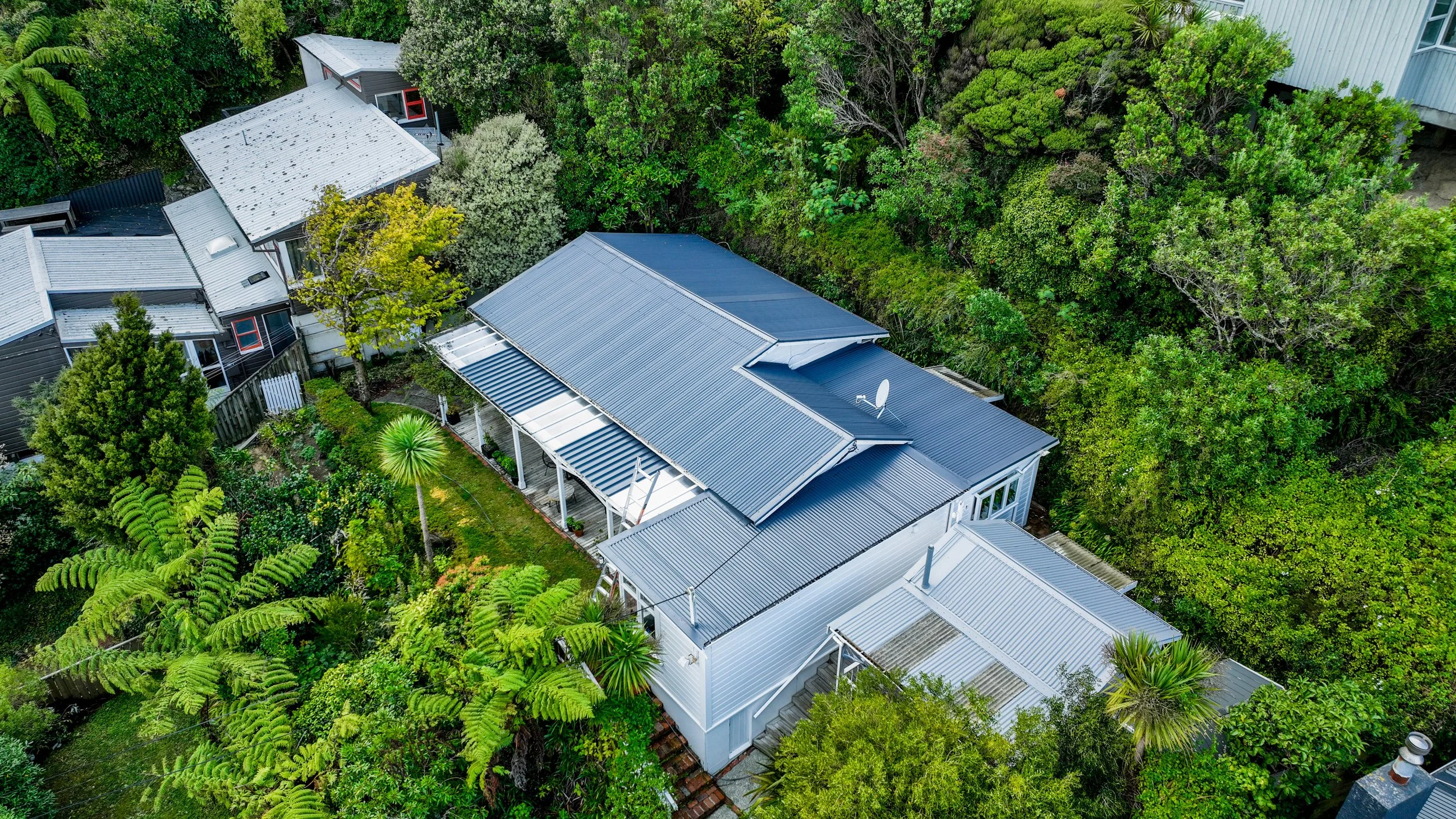 Cockayne Roof Restoration 