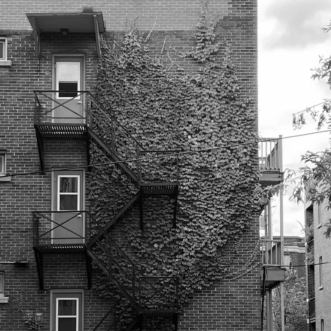 Quality multi-family management in Canada&rsquo;s capital.