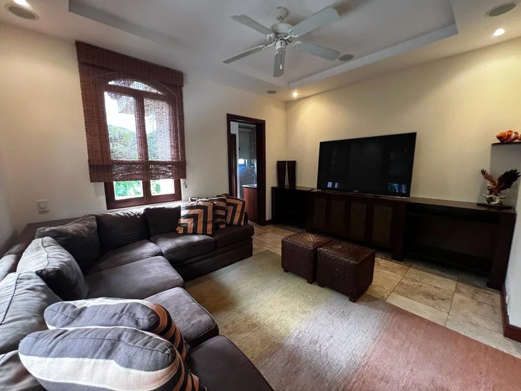 Sun Monkey - Entertainment Room