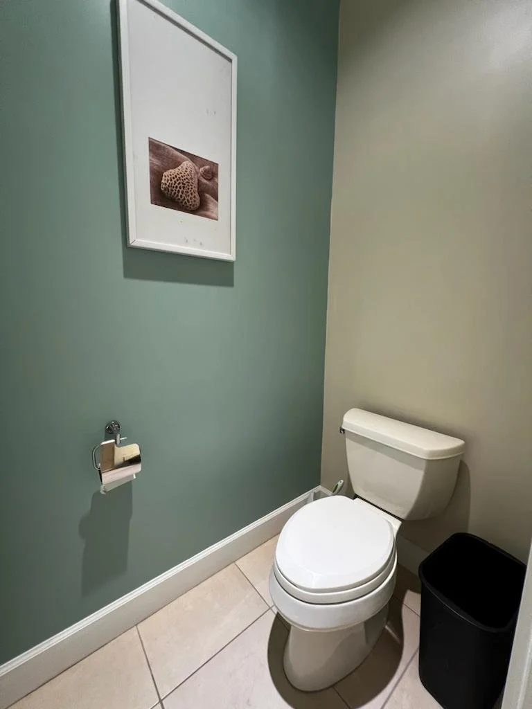 WhatsApp Image 2023-09-15 at 3.21.20 PM (3).jpeg