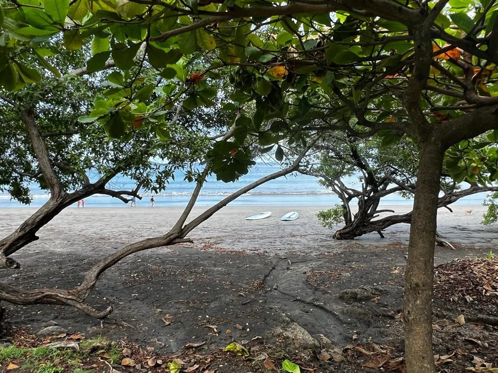 Villa Daiquiri - Beach Activities