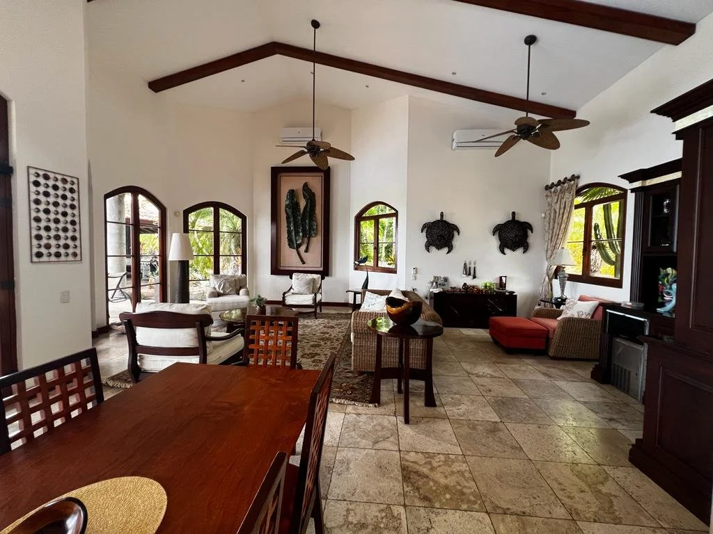 Sun Monkey - Living Room