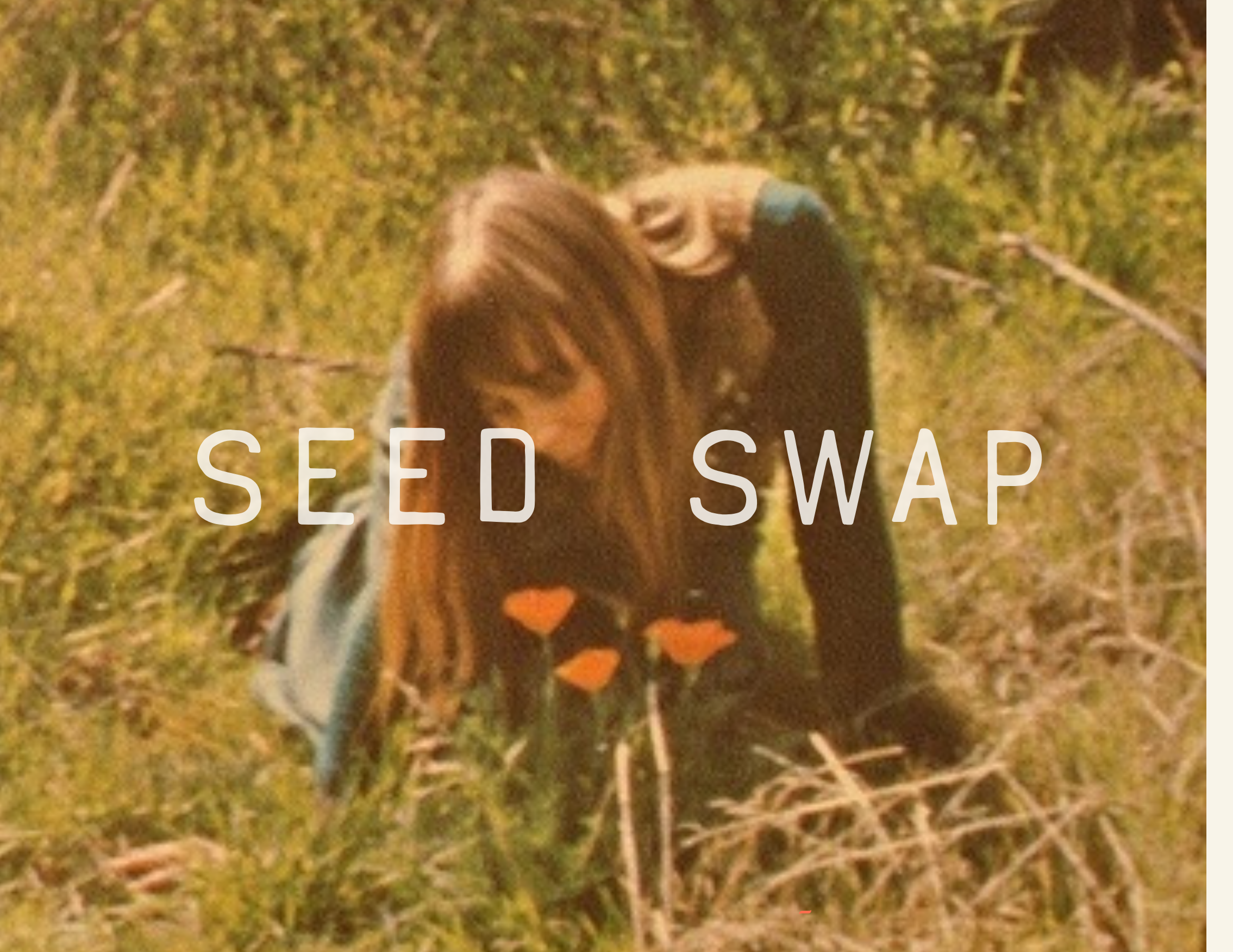 Seed Swap with Montana Cannabis Magazine - Soft Seasonal Gathering