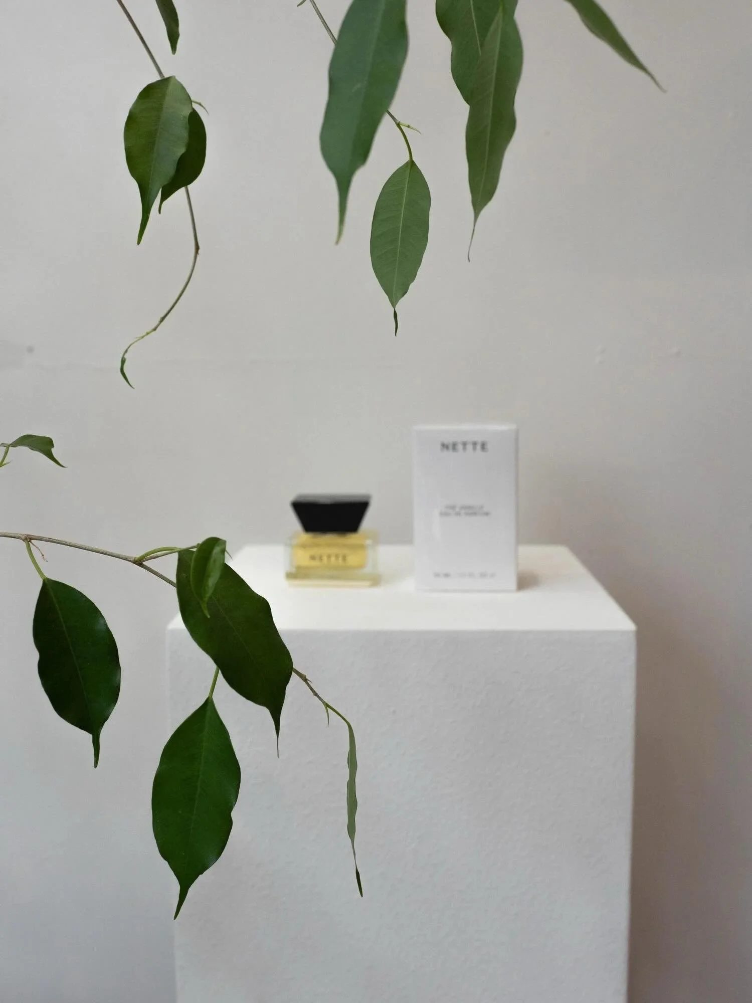 For the love of natural, feel good, do good, women owned, small batch, skincare. 🌱