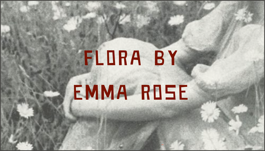 Flora by Emma Rose Summer Bouquet Subscriptions