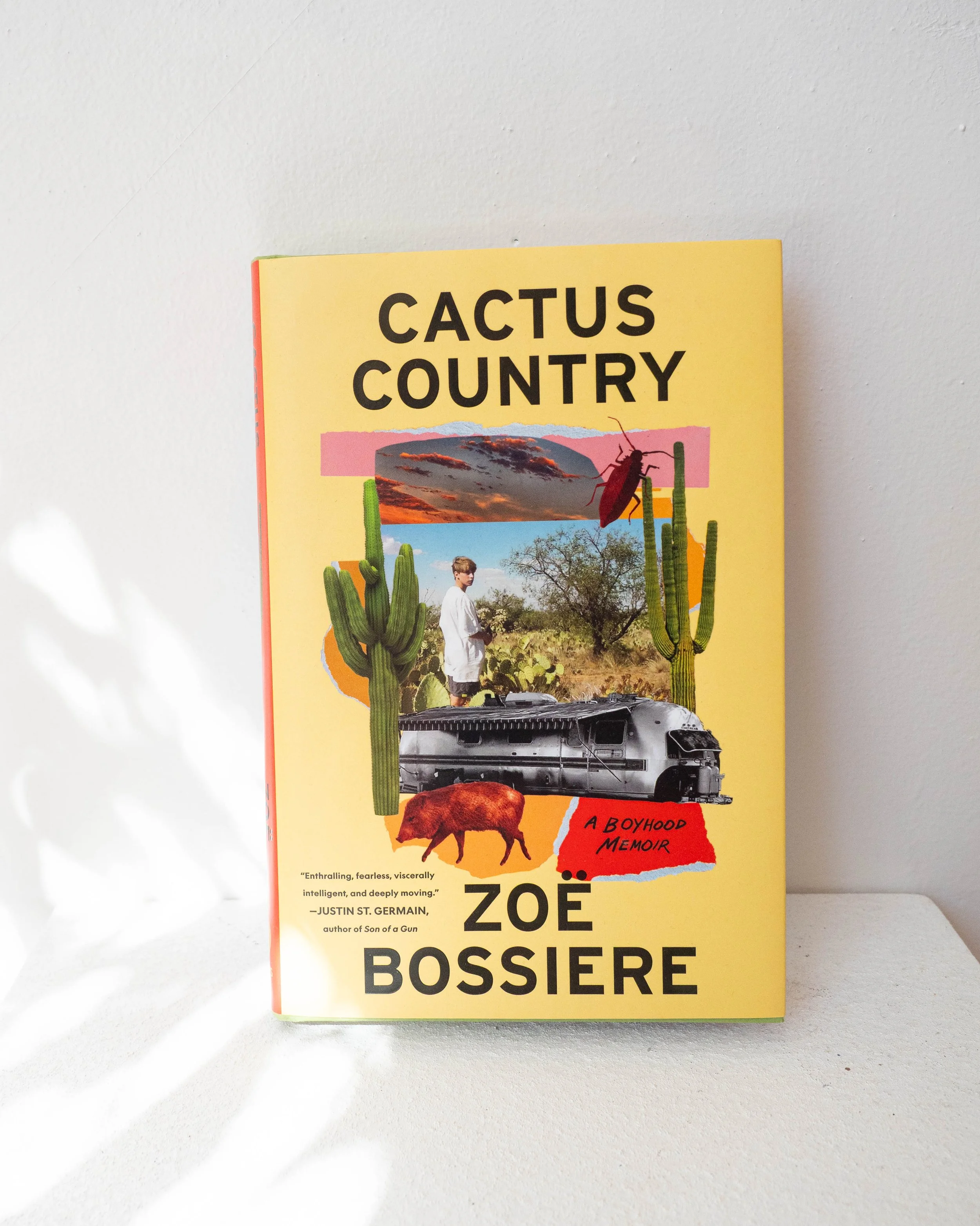 Cactus Country: A Boyhood Memoir