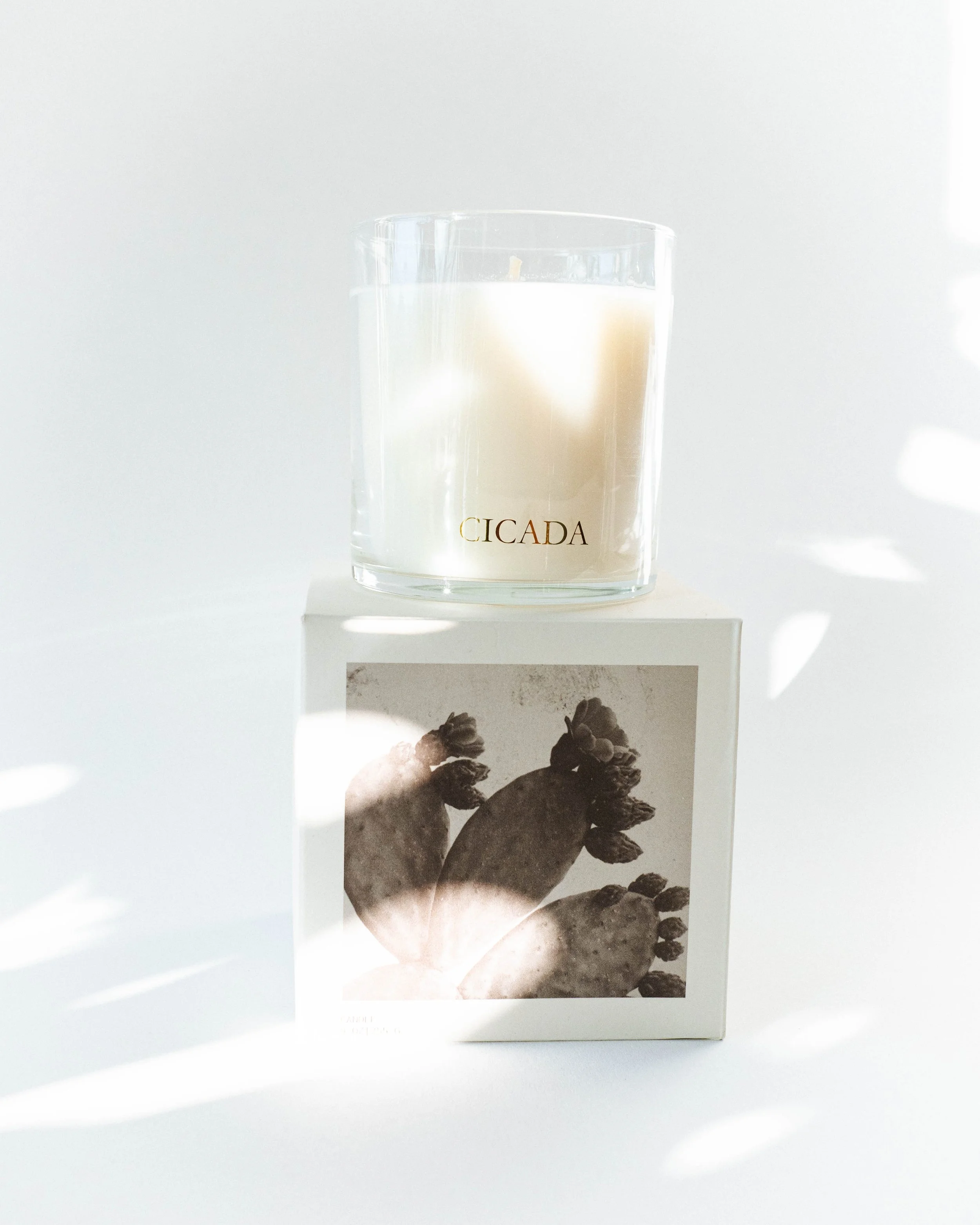 Cicada Prickly Pear Candle