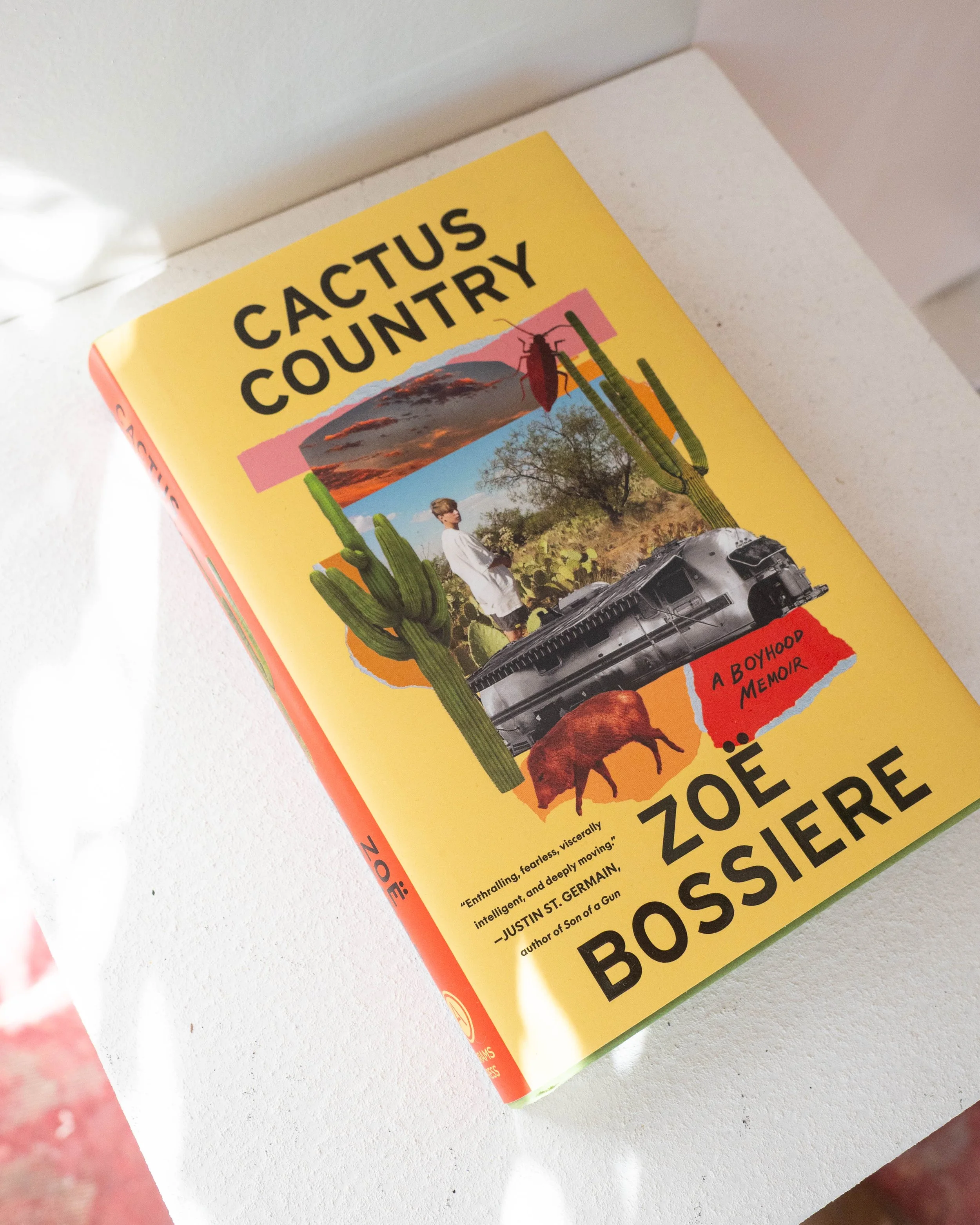 Cactus Country: A Boyhood Memoir