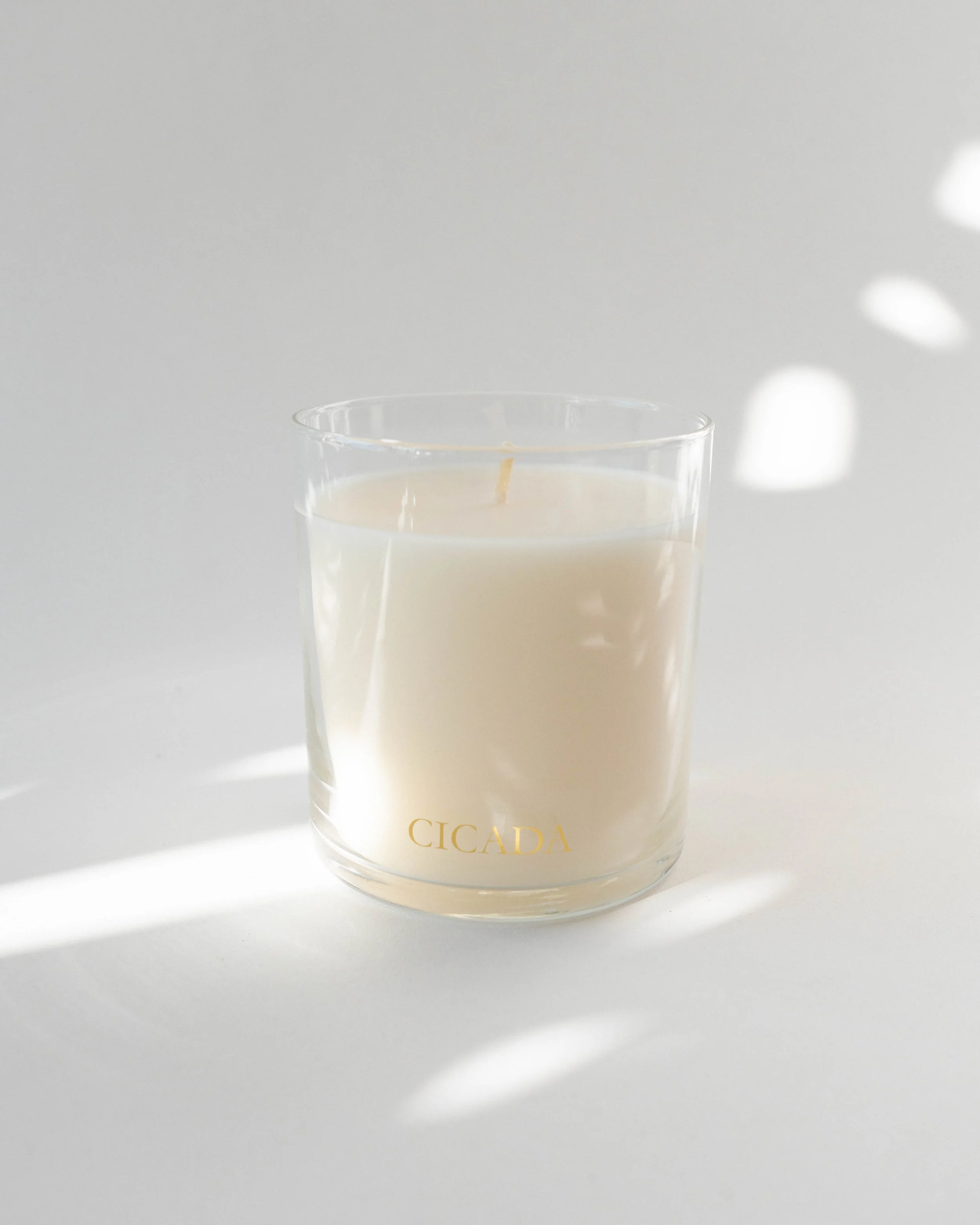 Cicada Prickly Pear Candle