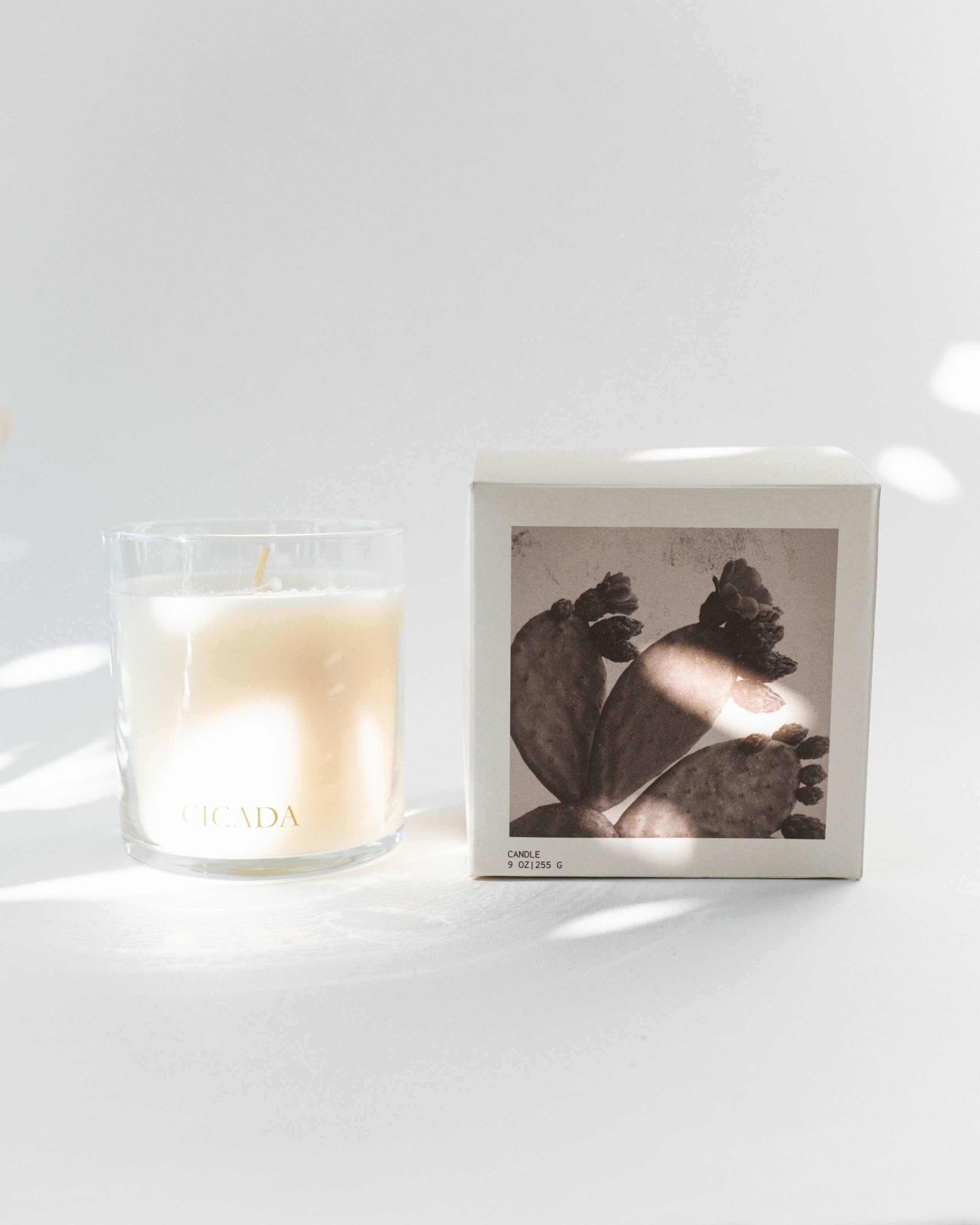 Cicada Prickly Pear Candle