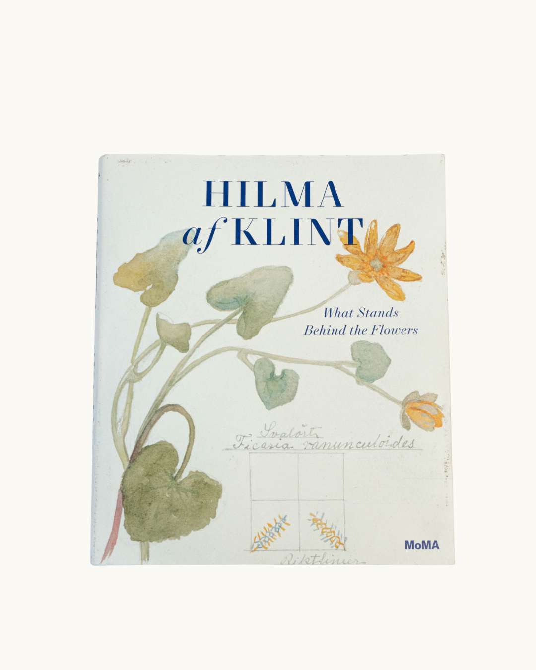Hilma AF Klint: What Stands Behind the Flower