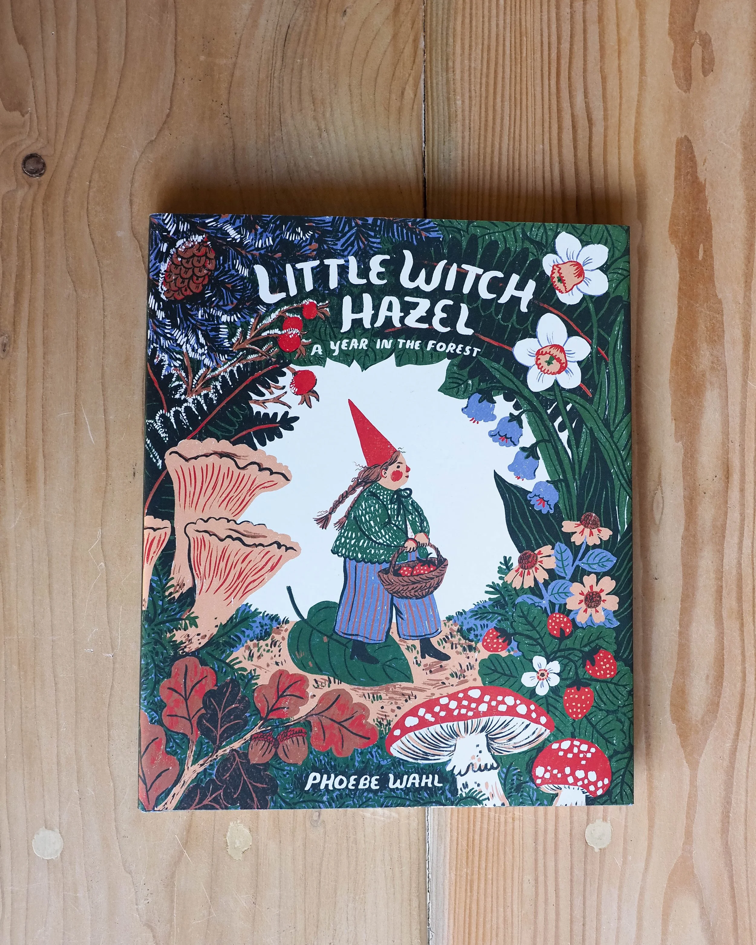 Little Witch Hazel by Phoebe Wahl
