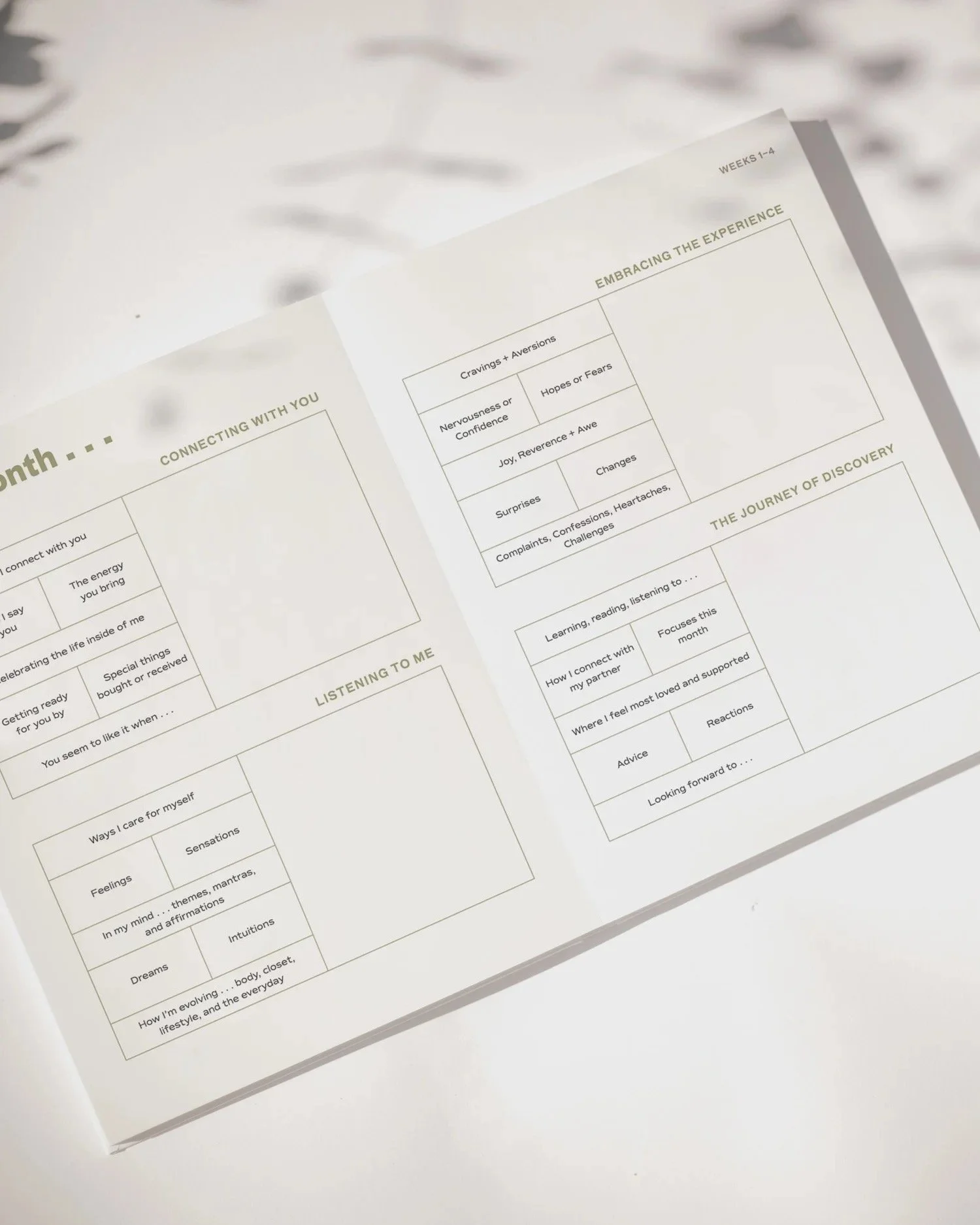 9 Months of Wonder Guided Journal