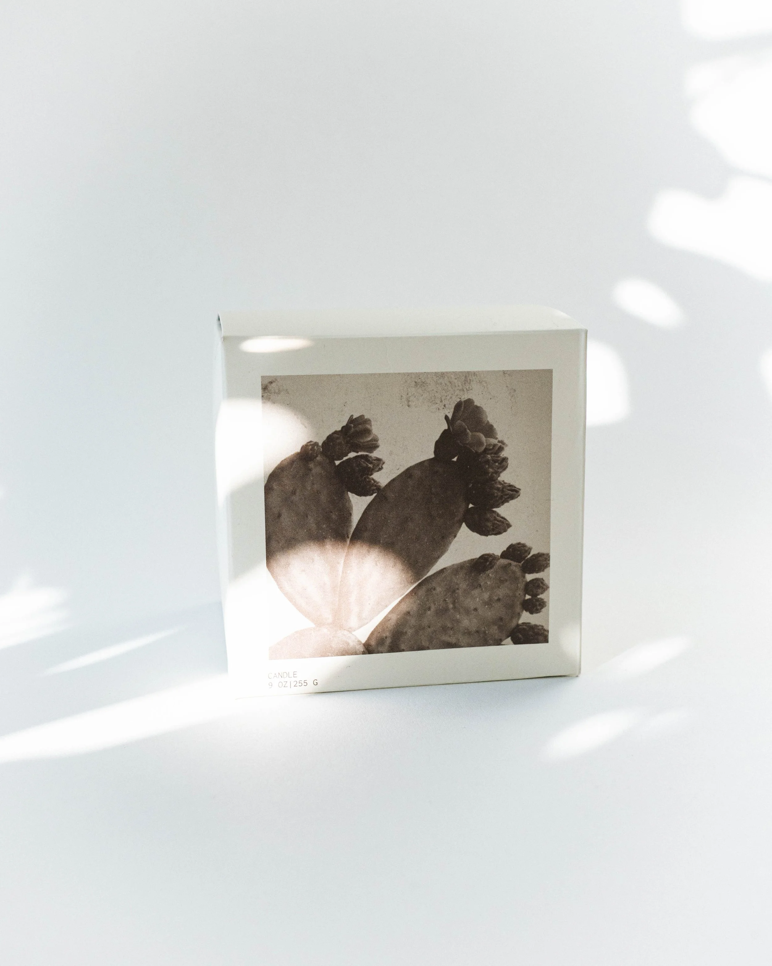 Cicada Prickly Pear Candle