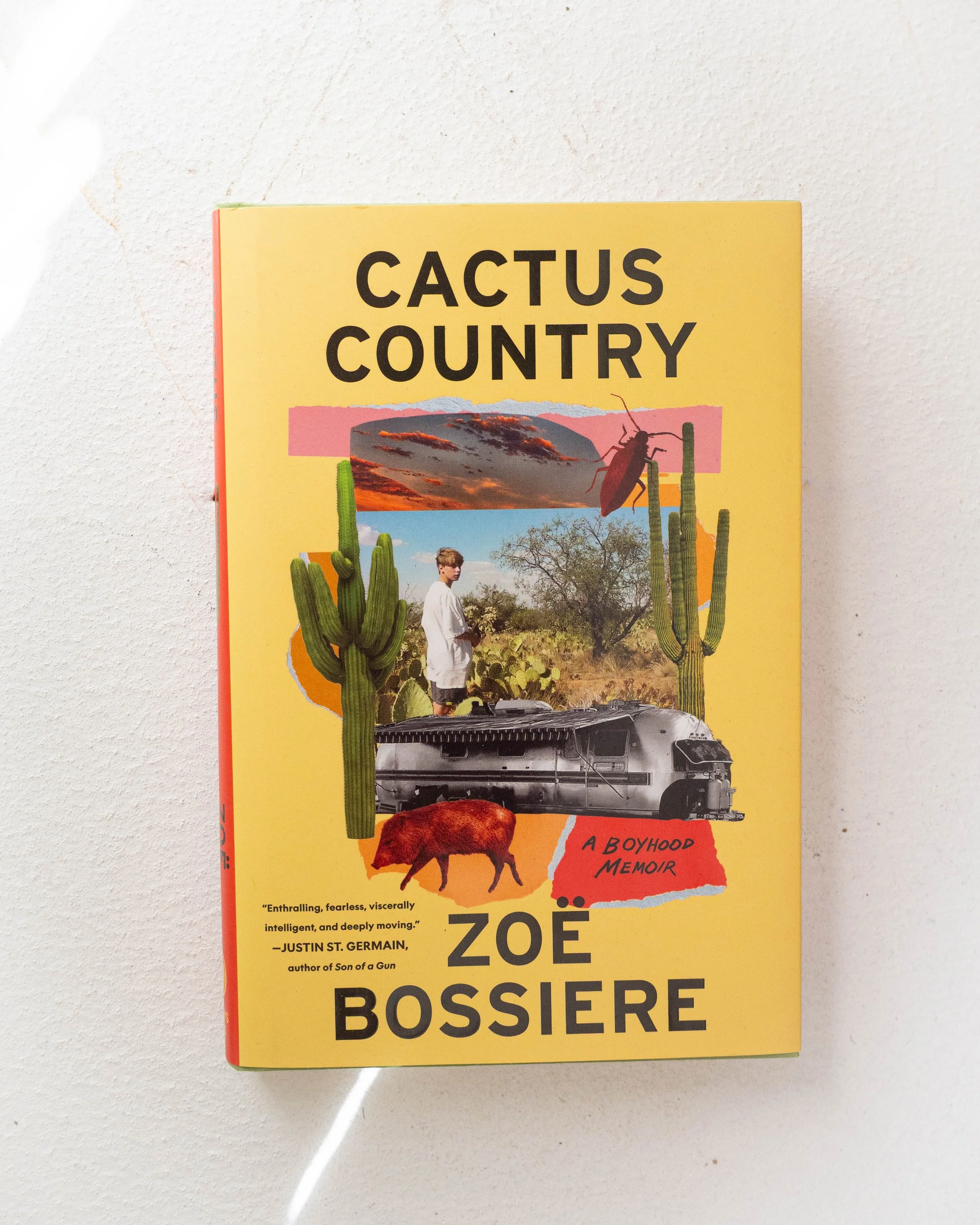 Cactus Country: A Boyhood Memoir