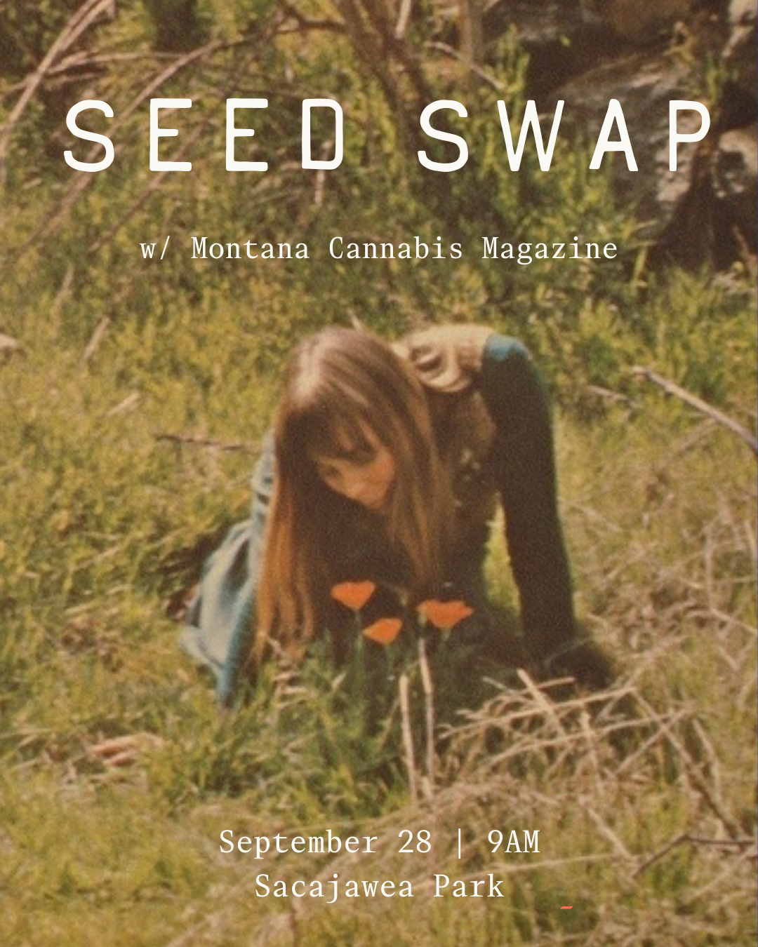 Promotional poster for Seed Swap event with Montana Cannabis Magazine and Cactus Blossom Collective at Sacajawea Park in Livingston, Montana