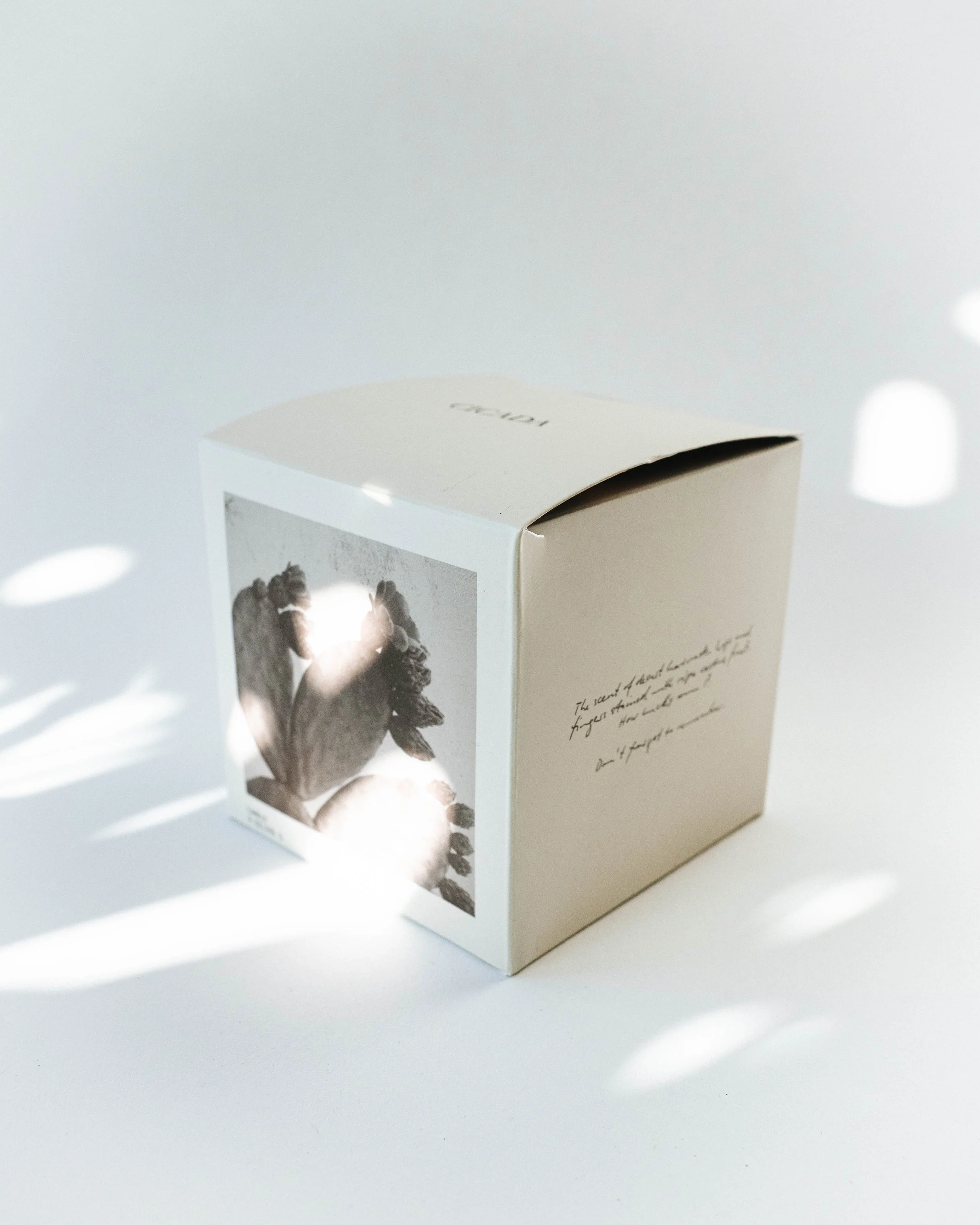 Cicada Prickly Pear Candle
