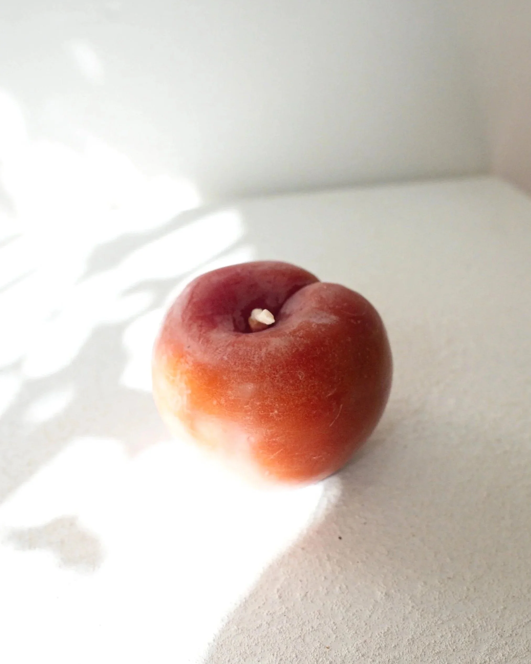 P1010161-3.jpg