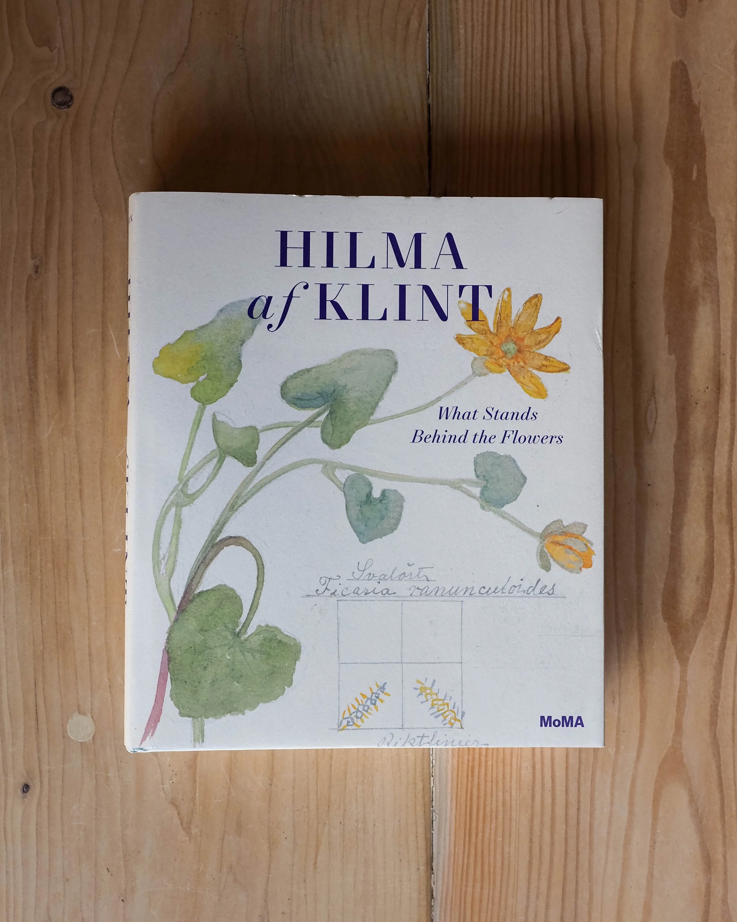 Hilma AF Klint: What Stands Behind the Flower