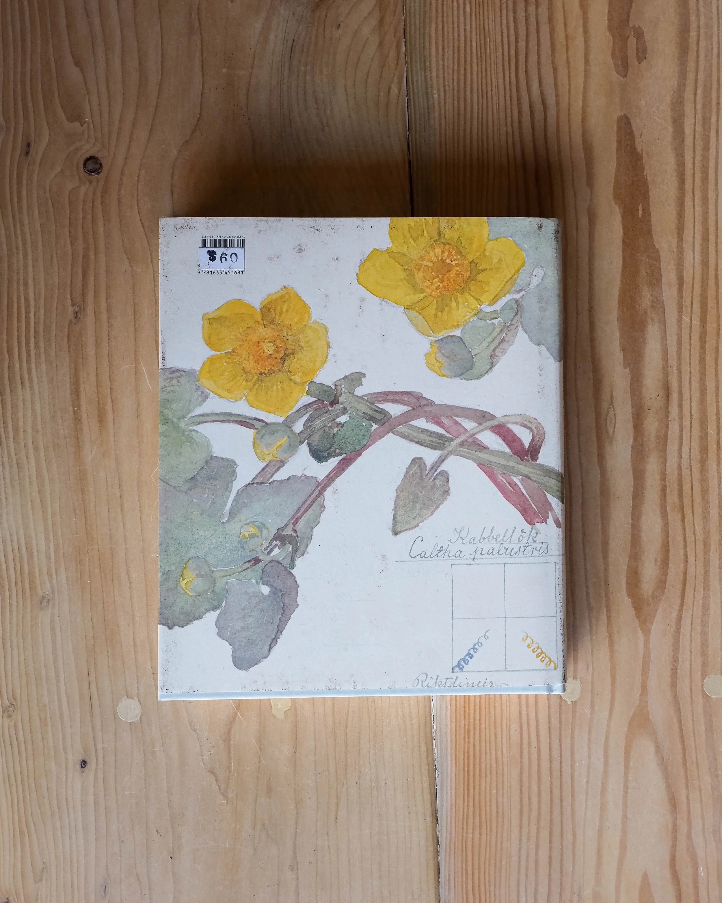 Hilma AF Klint: What Stands Behind the Flower