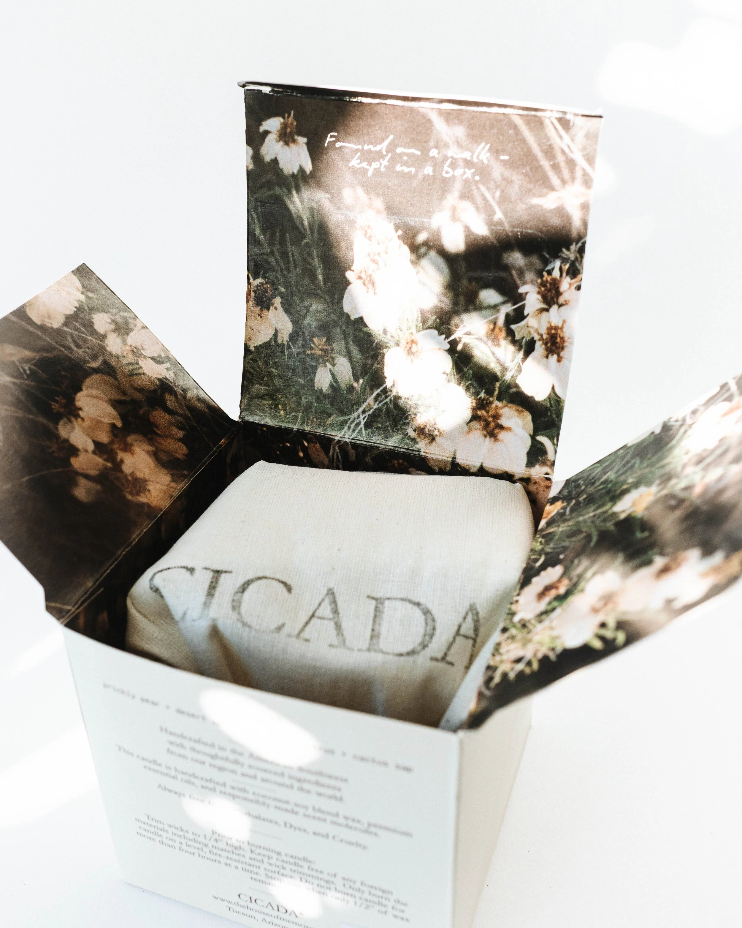 Cicada Prickly Pear Candle