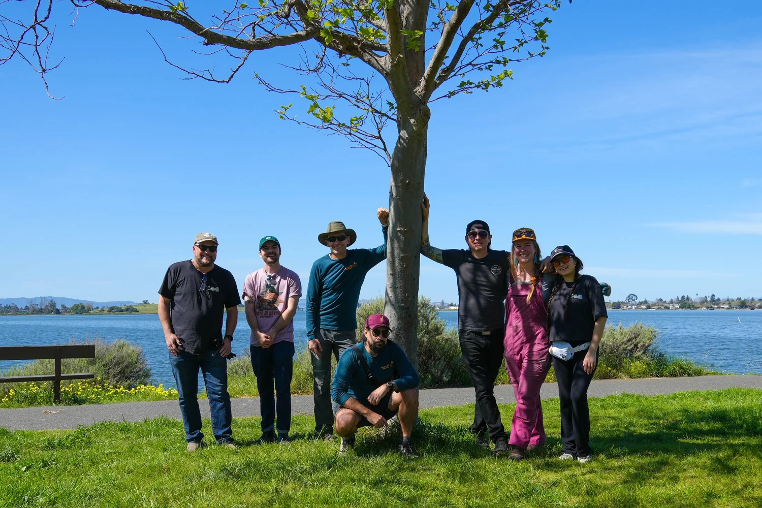 Headlands crew removing invasive plants at MLK Shoreline