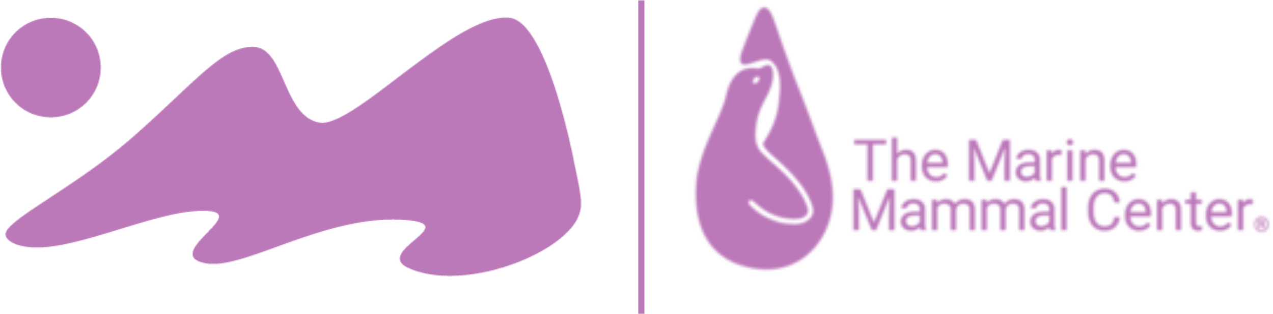 Marine Mammal Center Beer Collab Release Party (Berkeley - Westbrae)