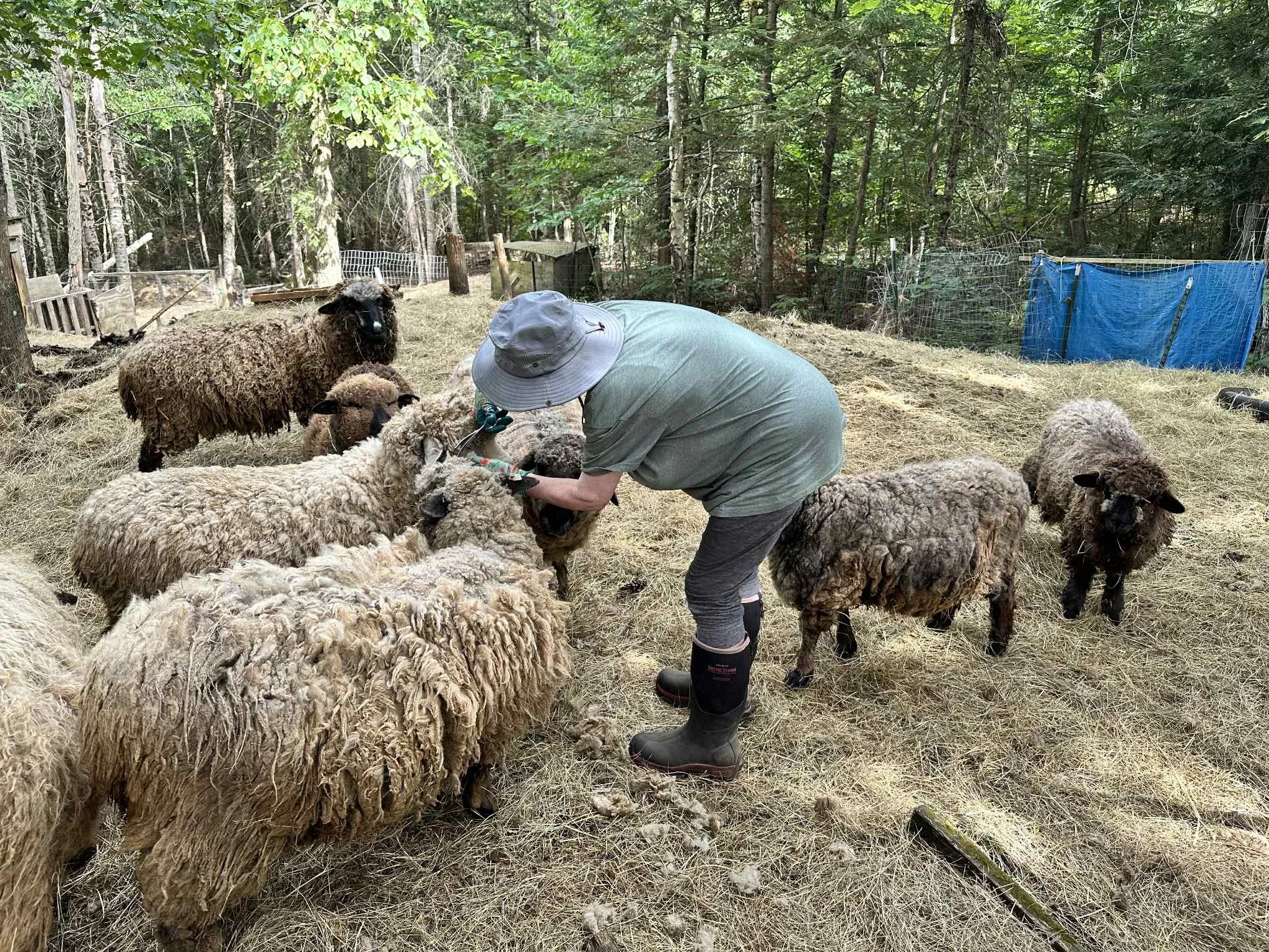 5 Simple Ways to Rethink Your Everyday Routine