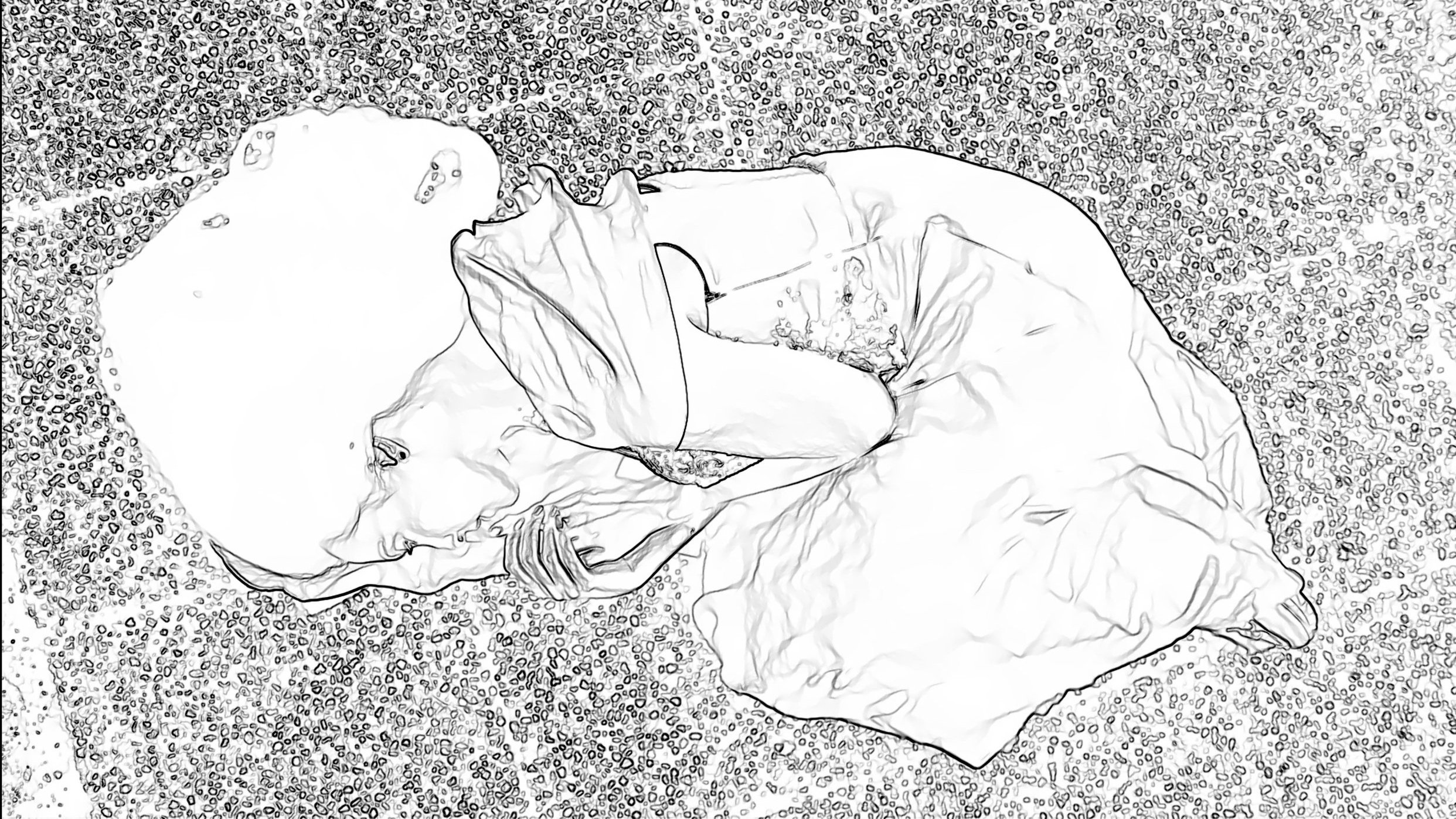 Image+12-30-24+at+12.17+AM.jpg