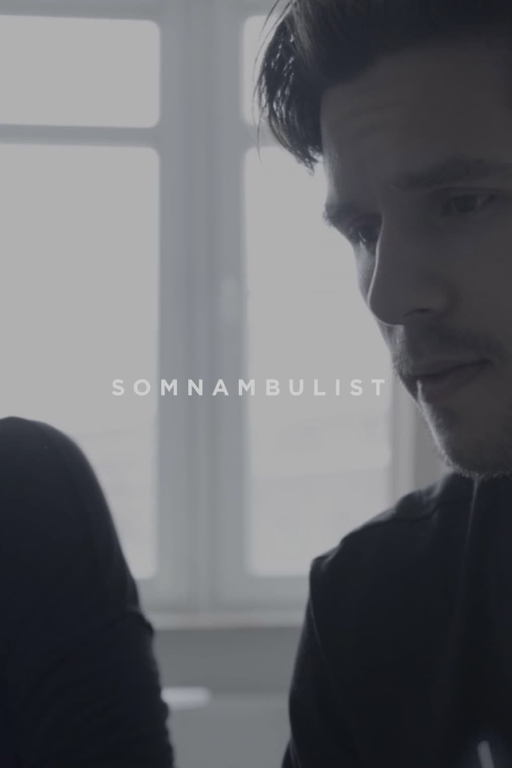 Somnambulist Poster ENG.jpg