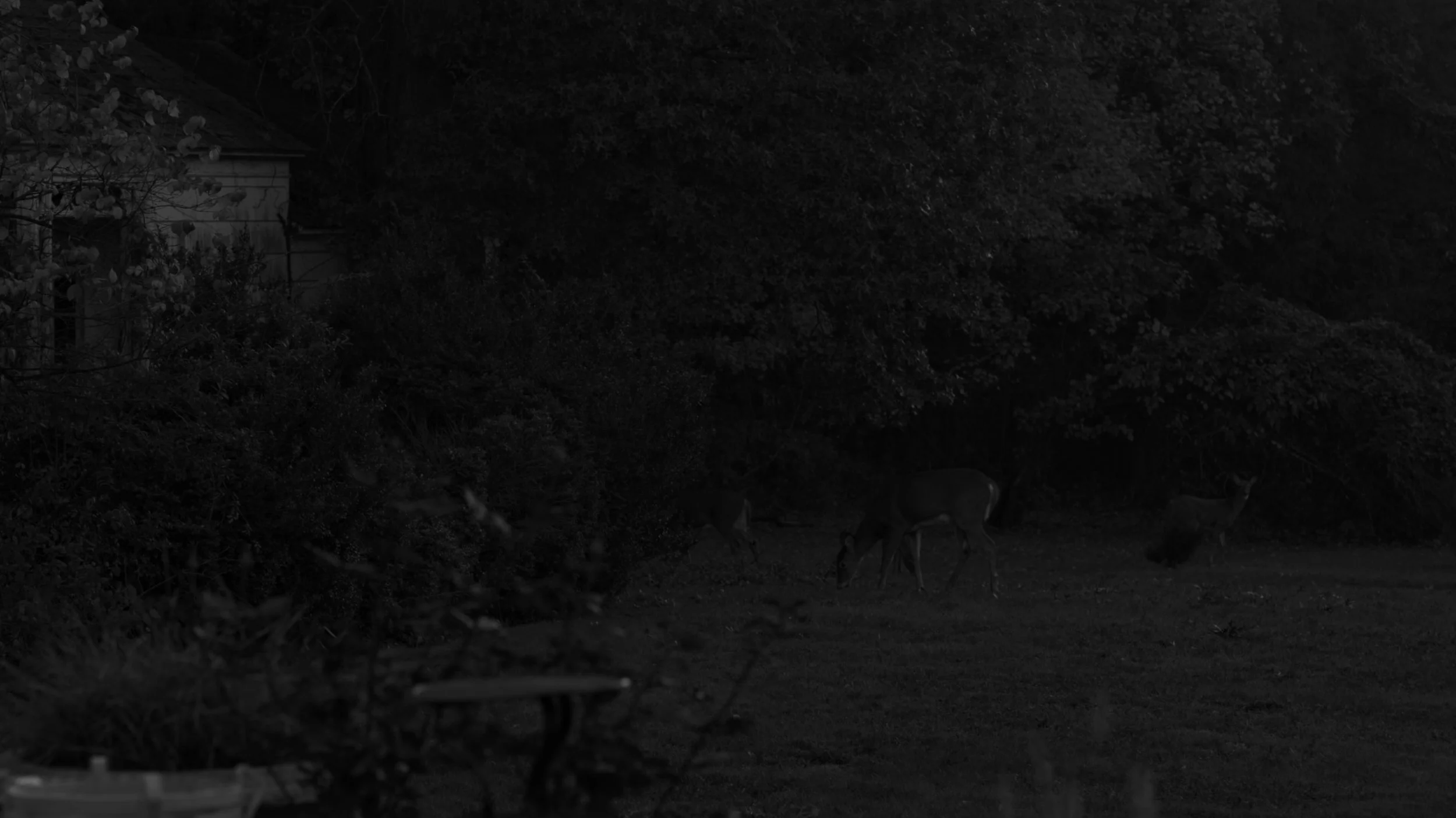 Image 10-18-26 at 20.50.jpeg