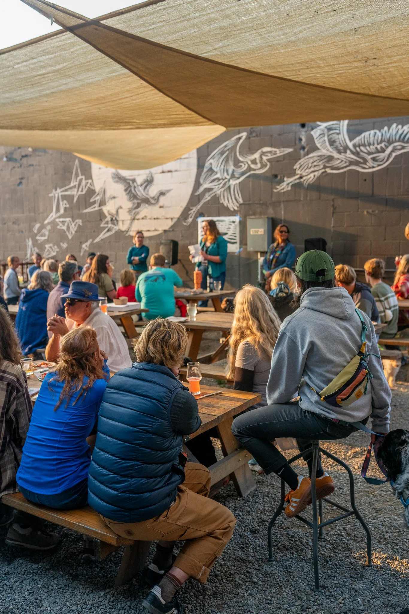 Musical Bingo at Terramar Brewstillery