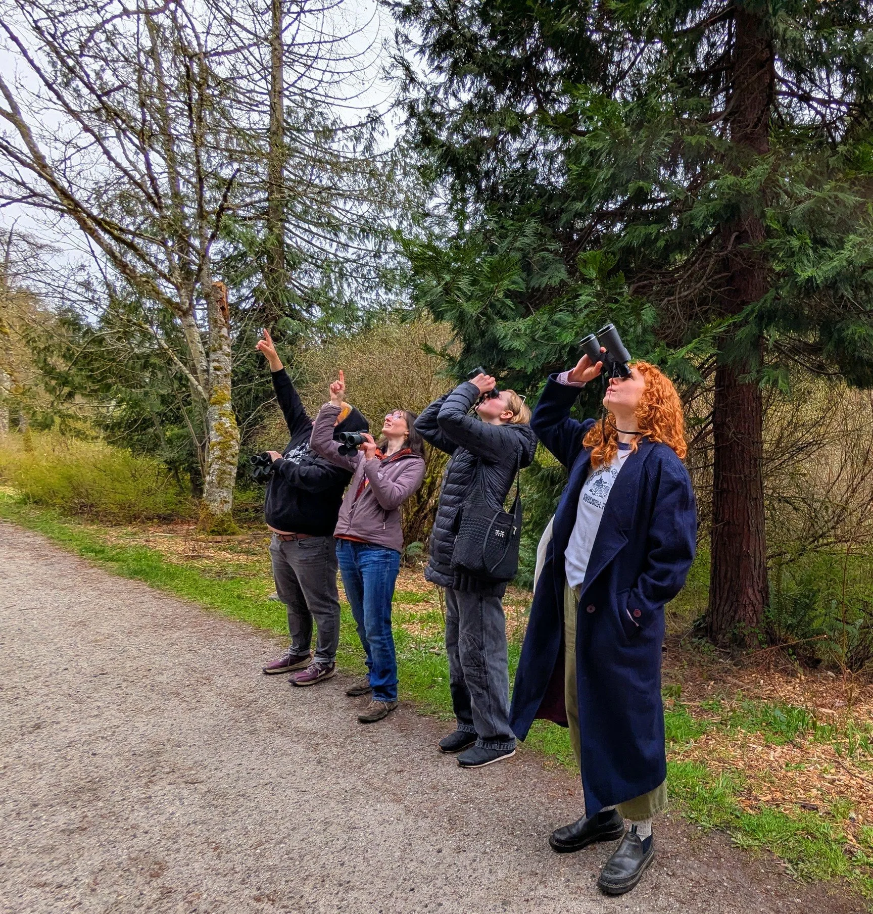 Evening Bird Walk
