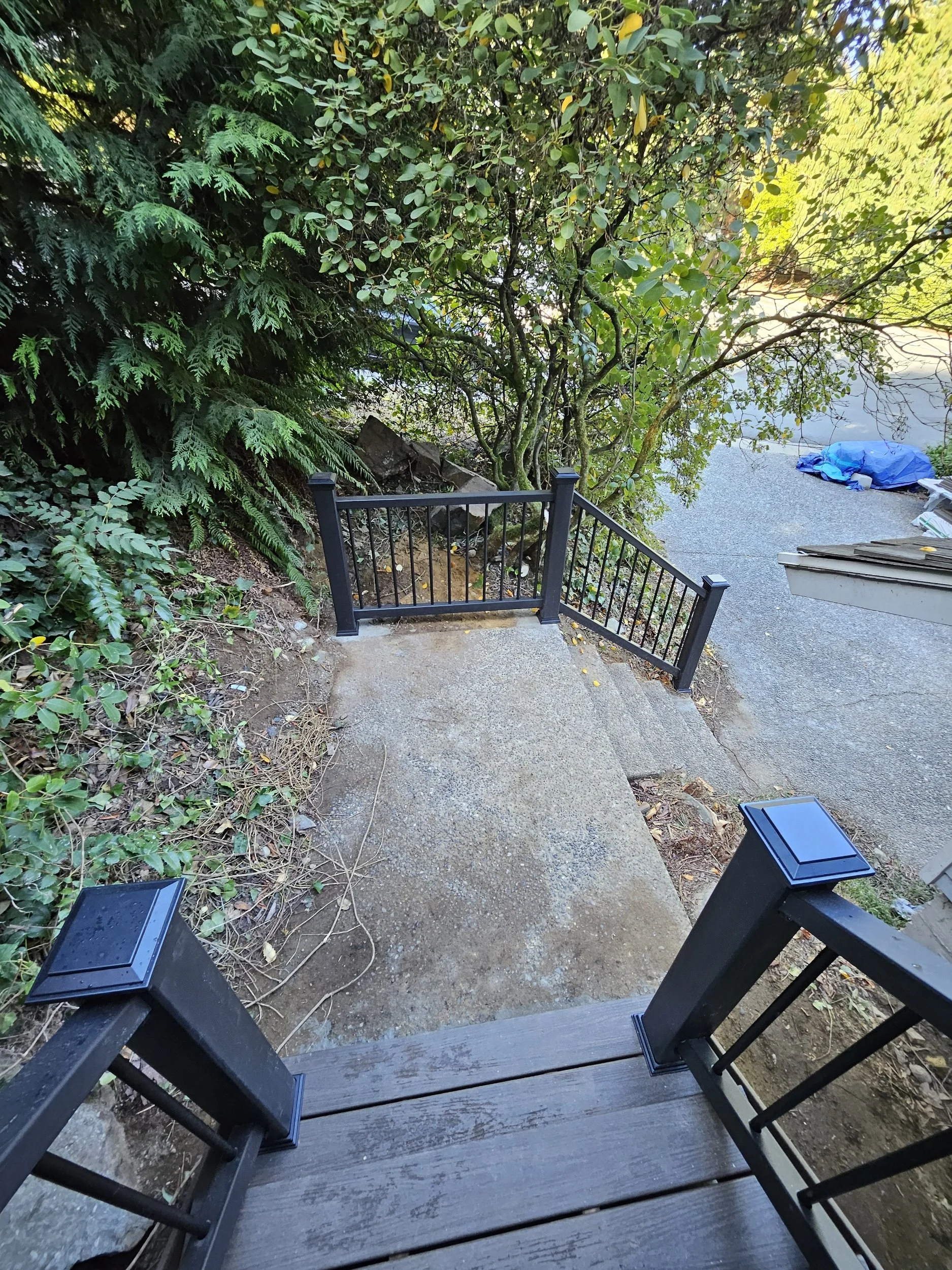 processed_25514.jpg