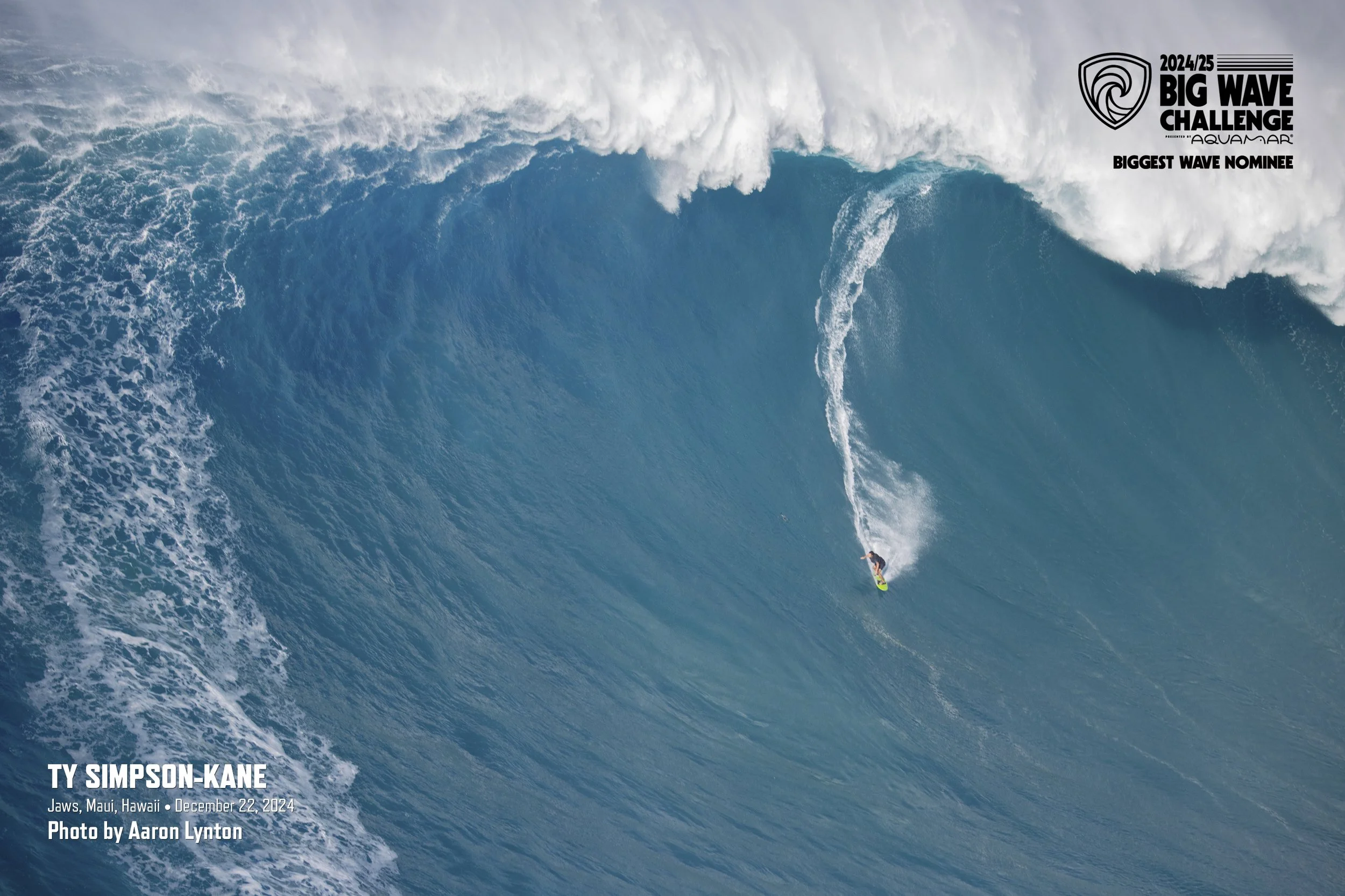 BWC25MBigNom_SimpsonKaneJawsDec22Lynton.jpg