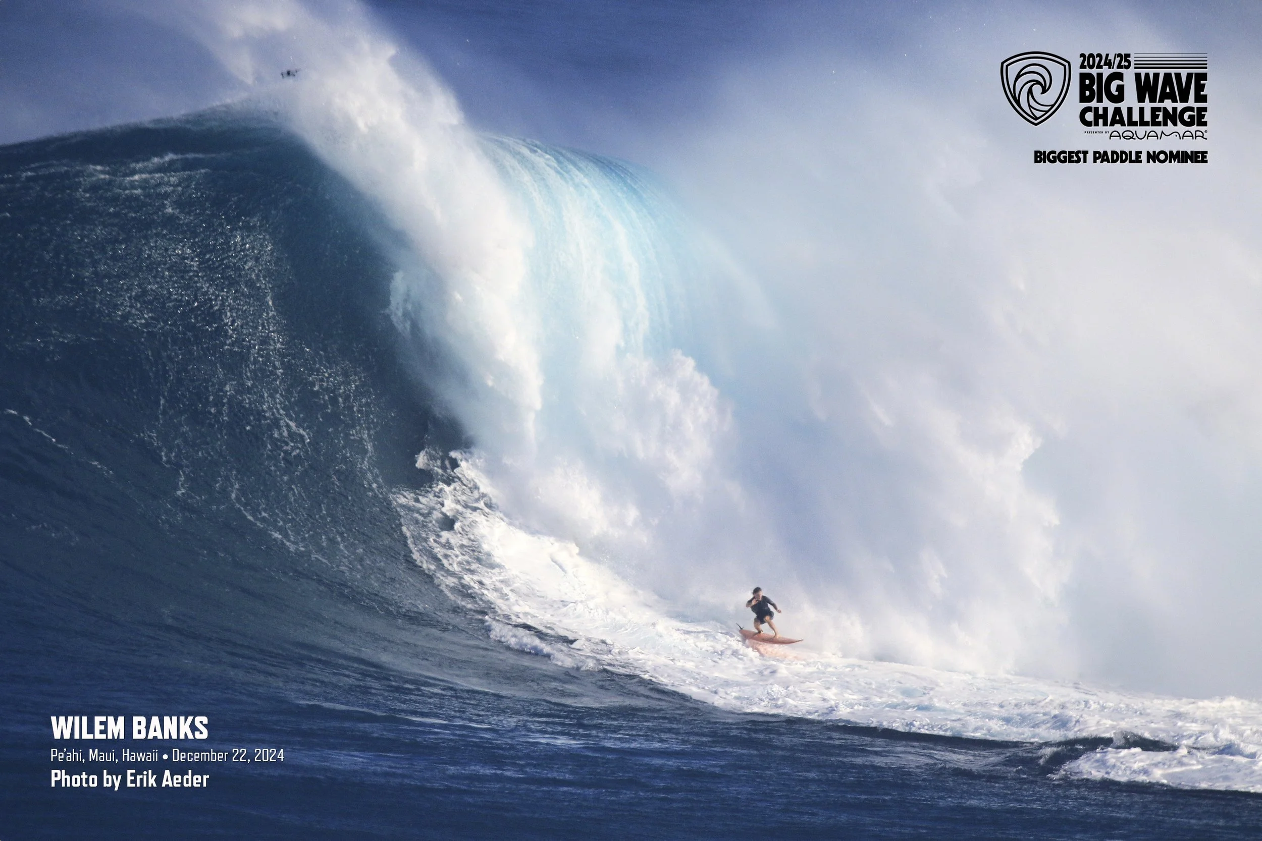 BWC25MPadNom_BanksJawsDec22Aeder.jpg