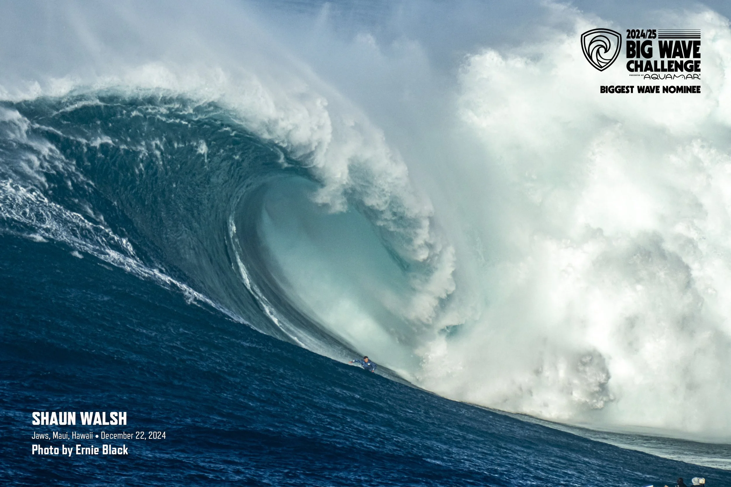BWC25MBigNom_WalshSJawsDec22Black.jpg